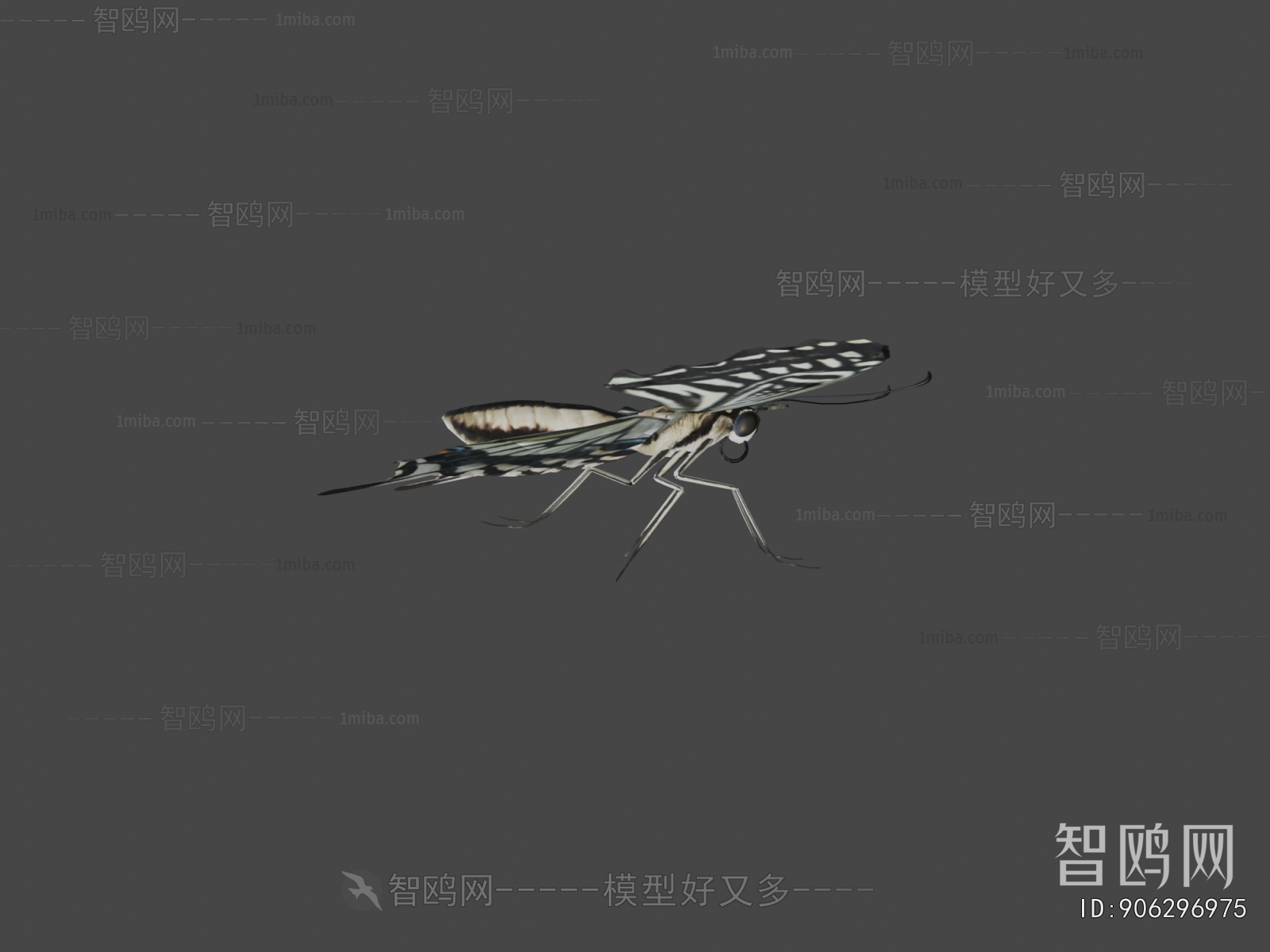 Modern Flying Animals