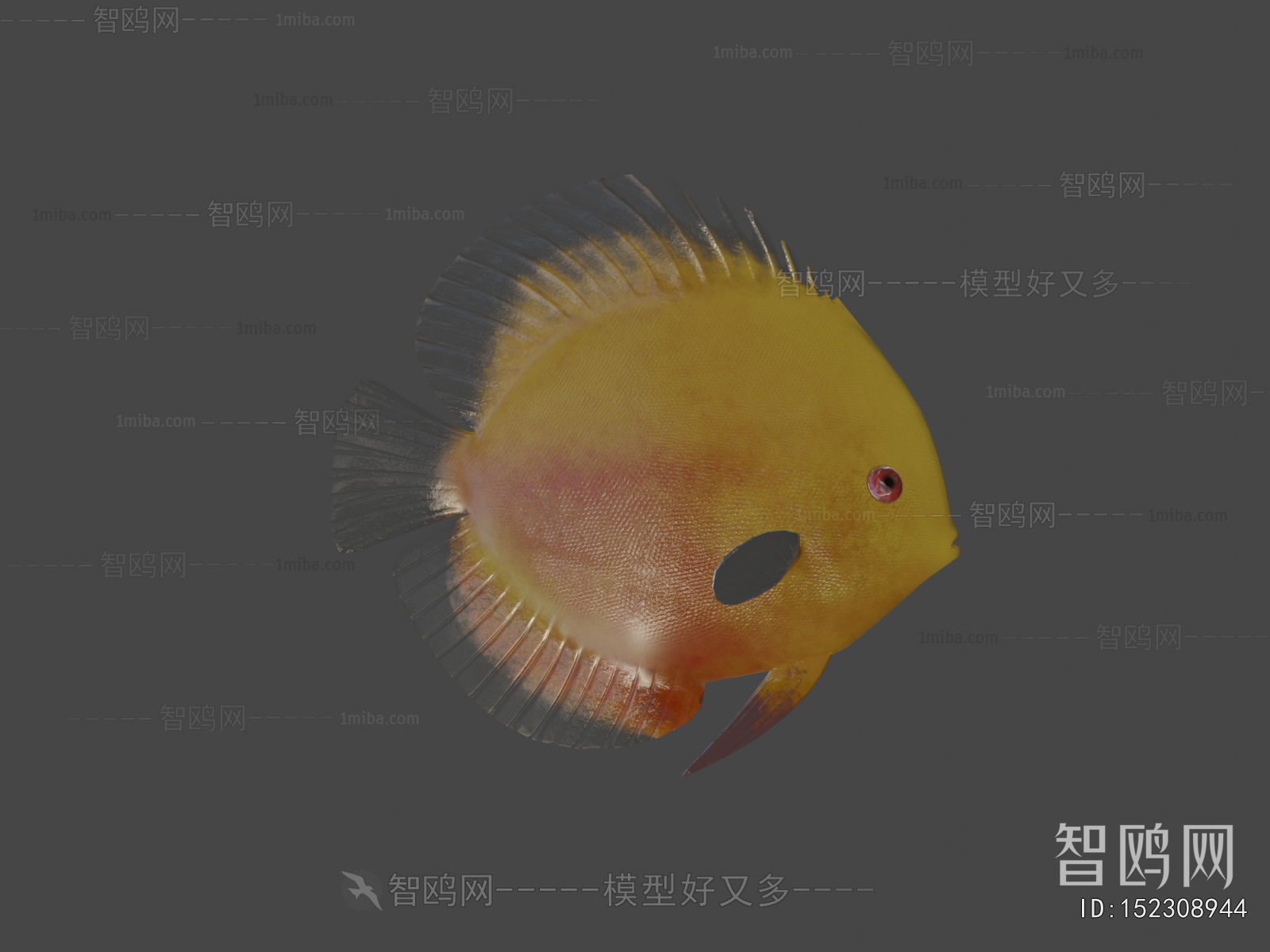 Modern Aquatic Animals