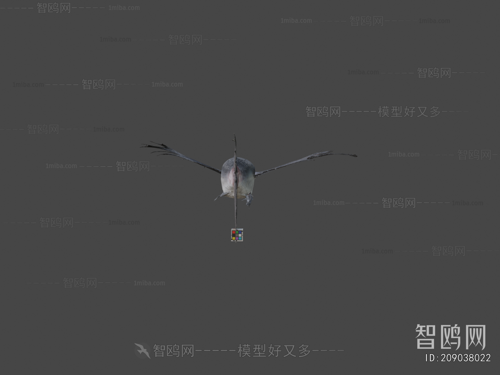 Modern Aquatic Animals