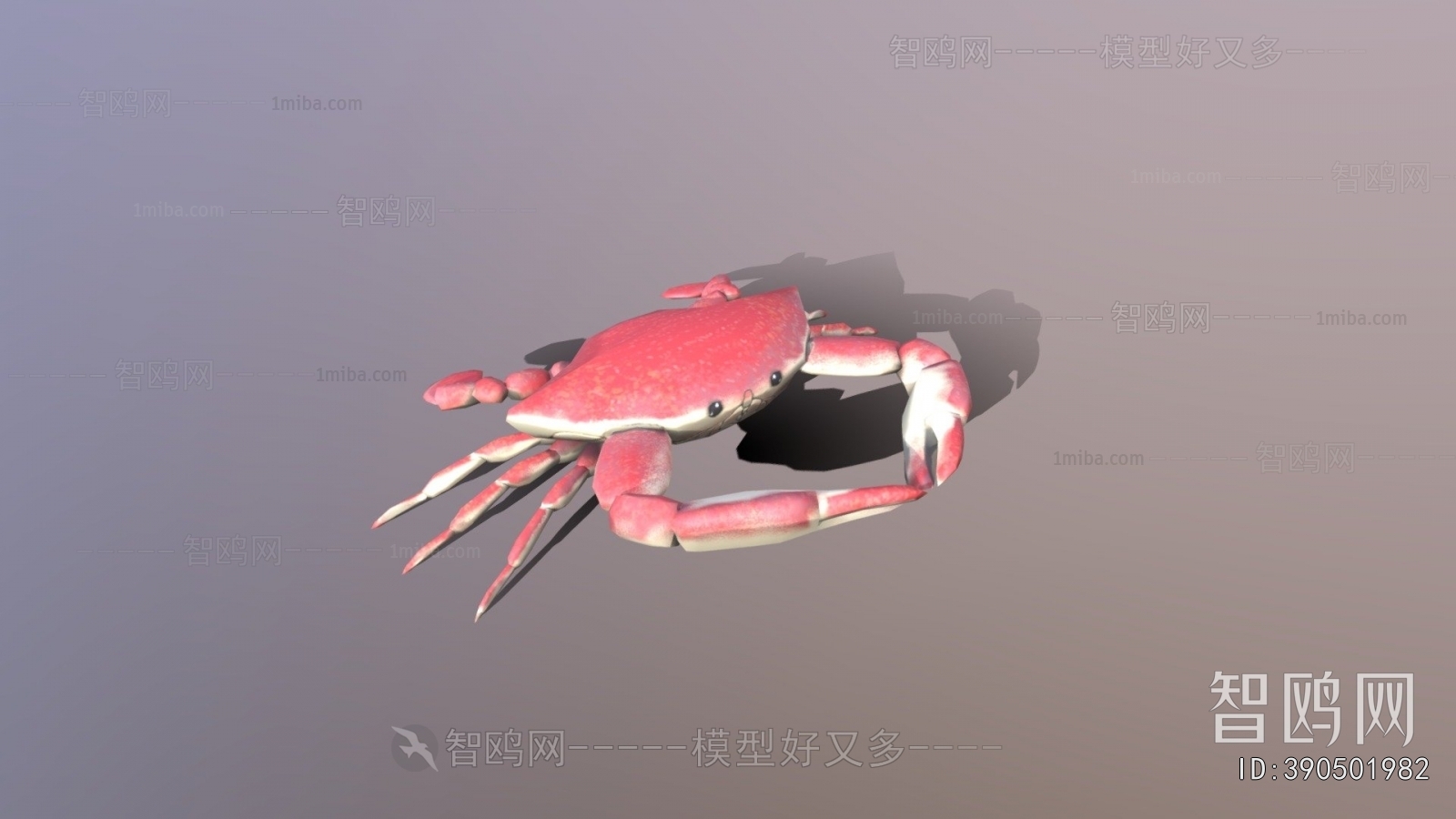 Modern Aquatic Animals