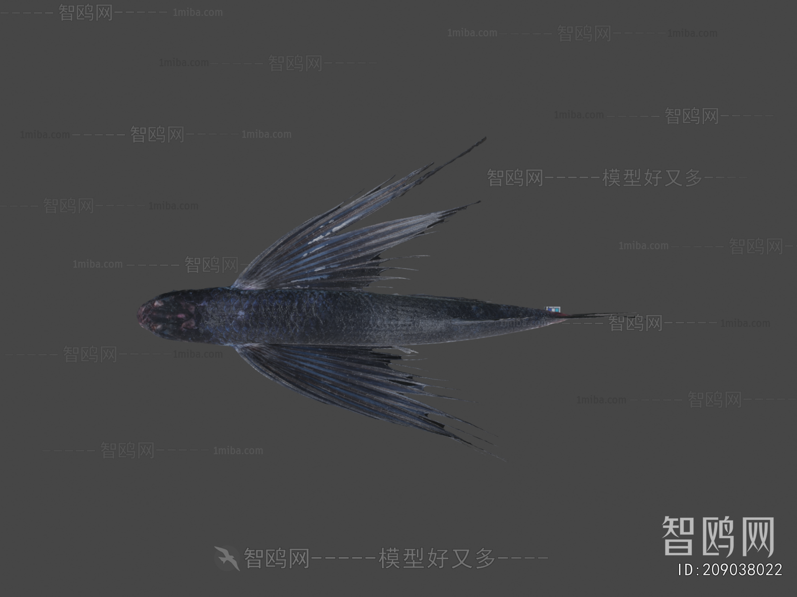 Modern Aquatic Animals