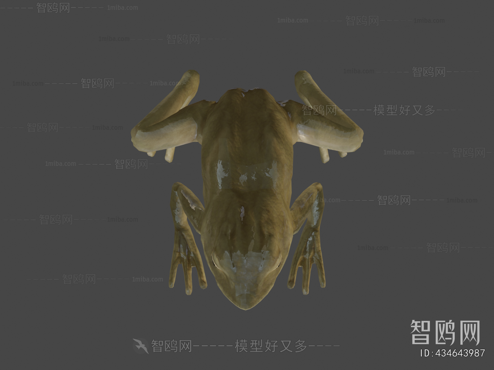 Modern Aquatic Animals