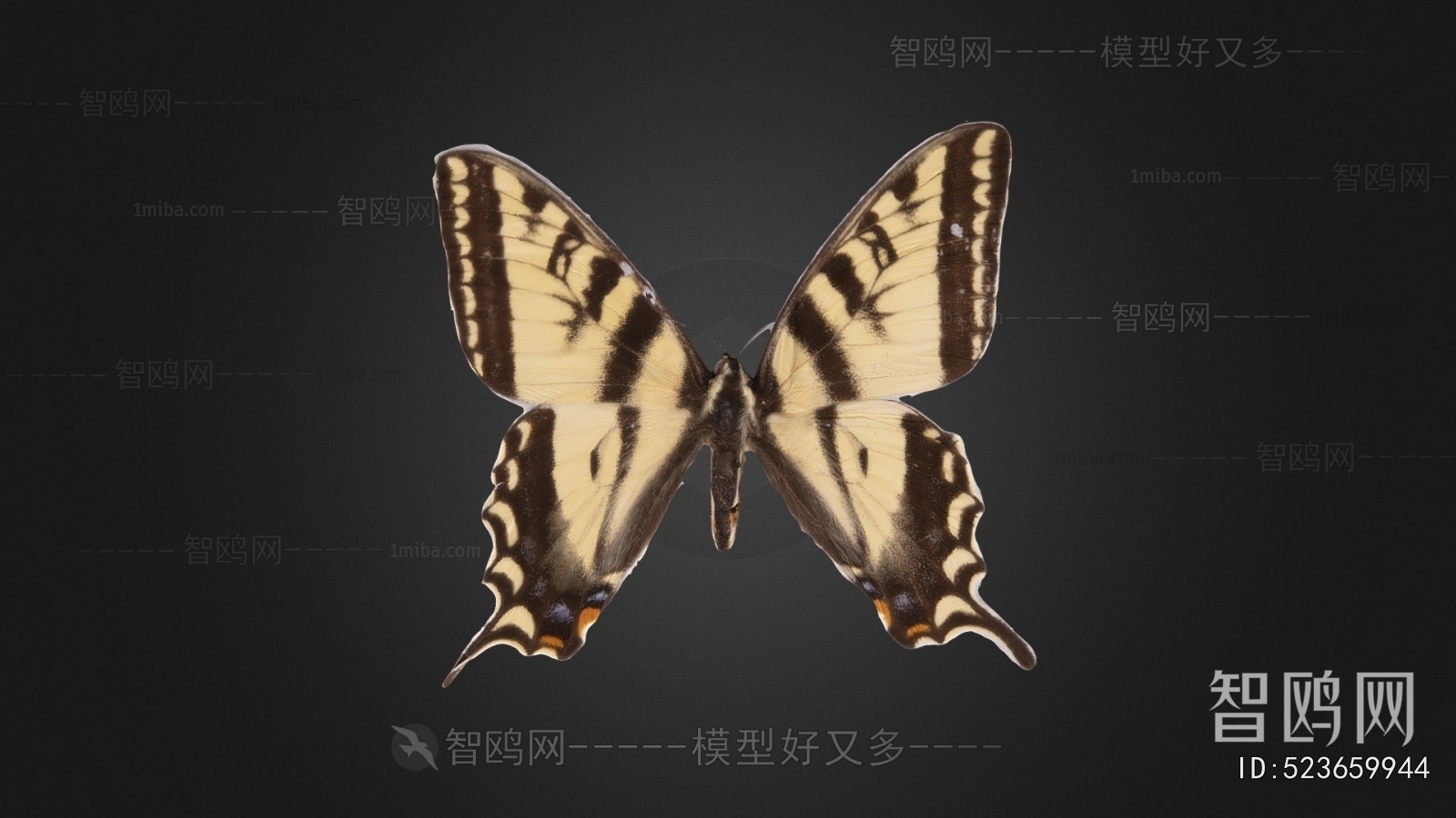 Modern Flying Animals