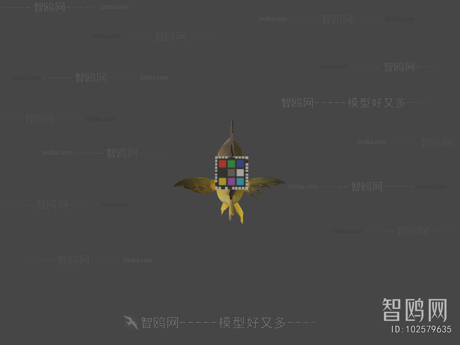 Modern Aquatic Animals