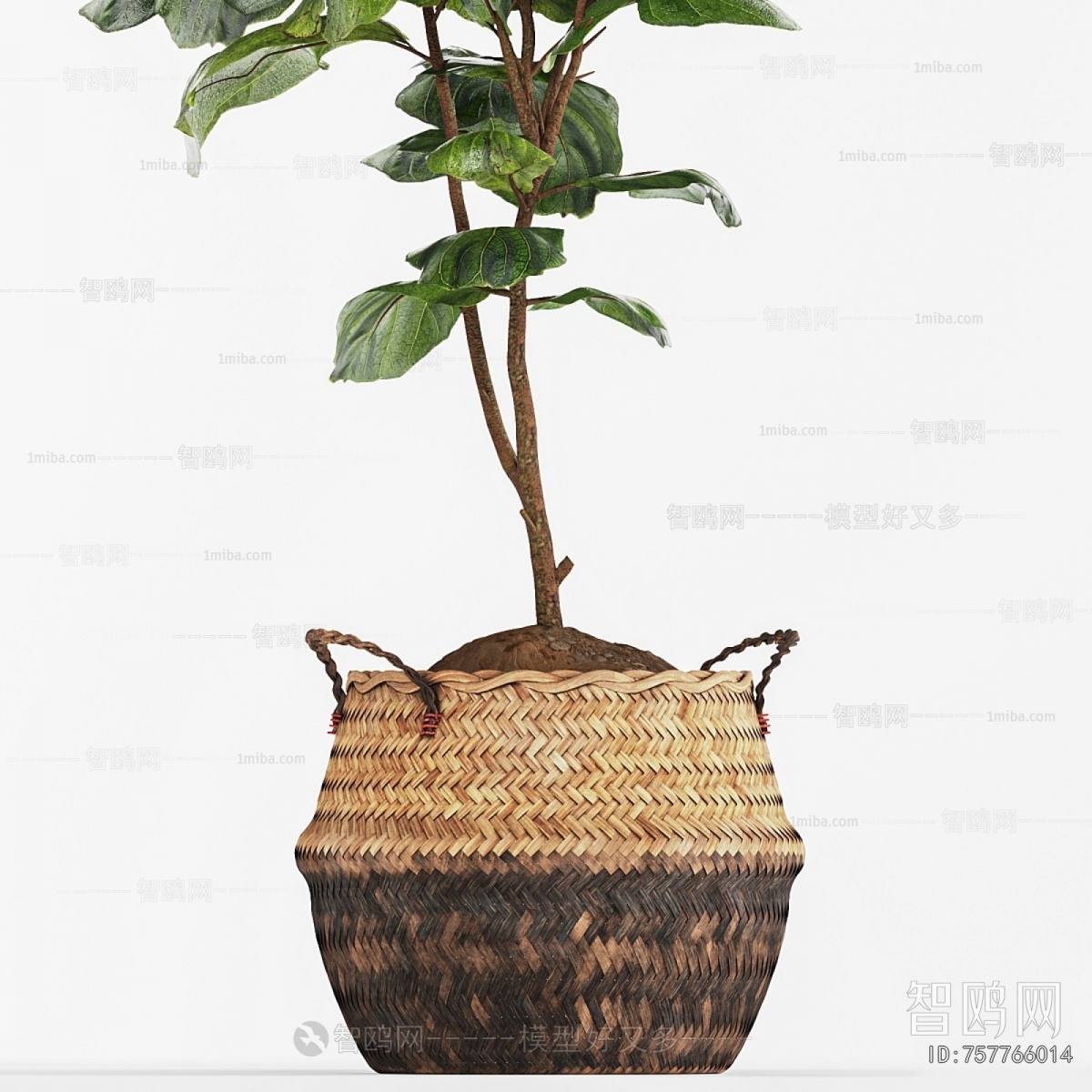 Modern Ground Green Plant Potted Plants