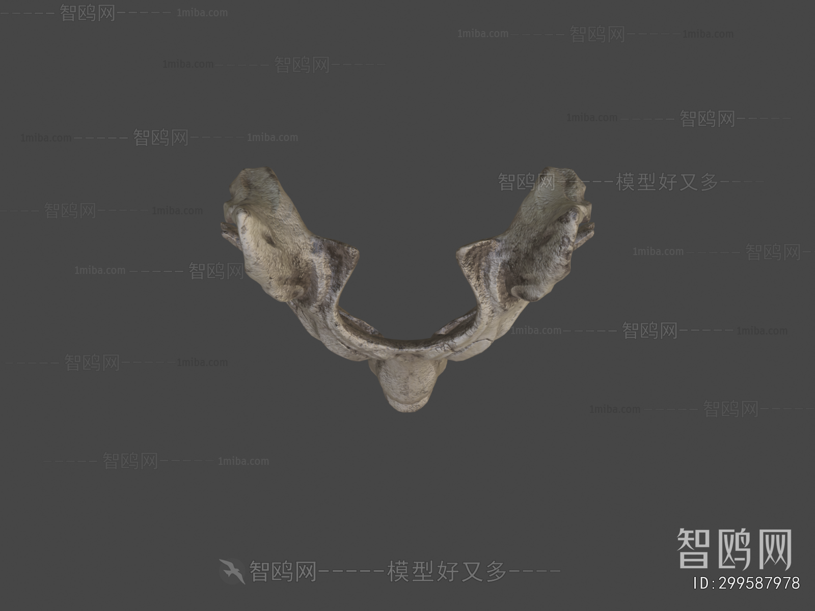 Modern Wall Decoration