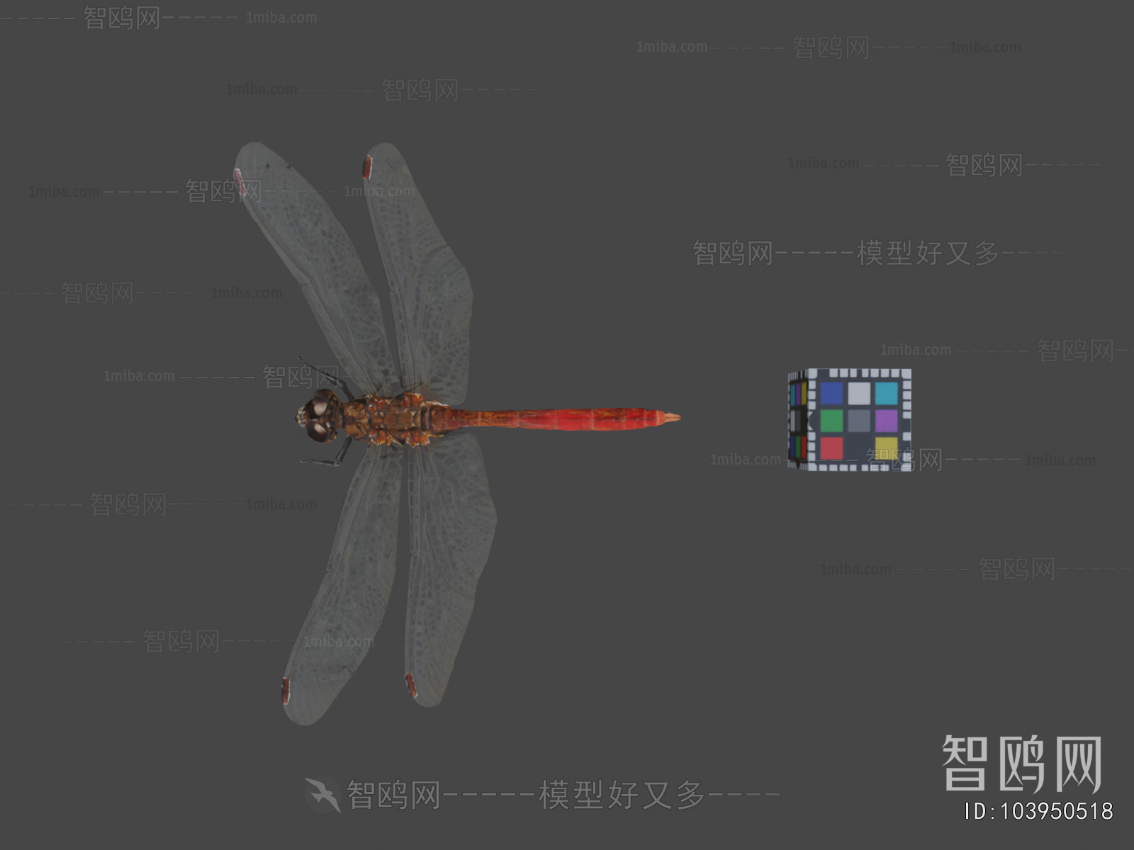 Modern Flying Animals