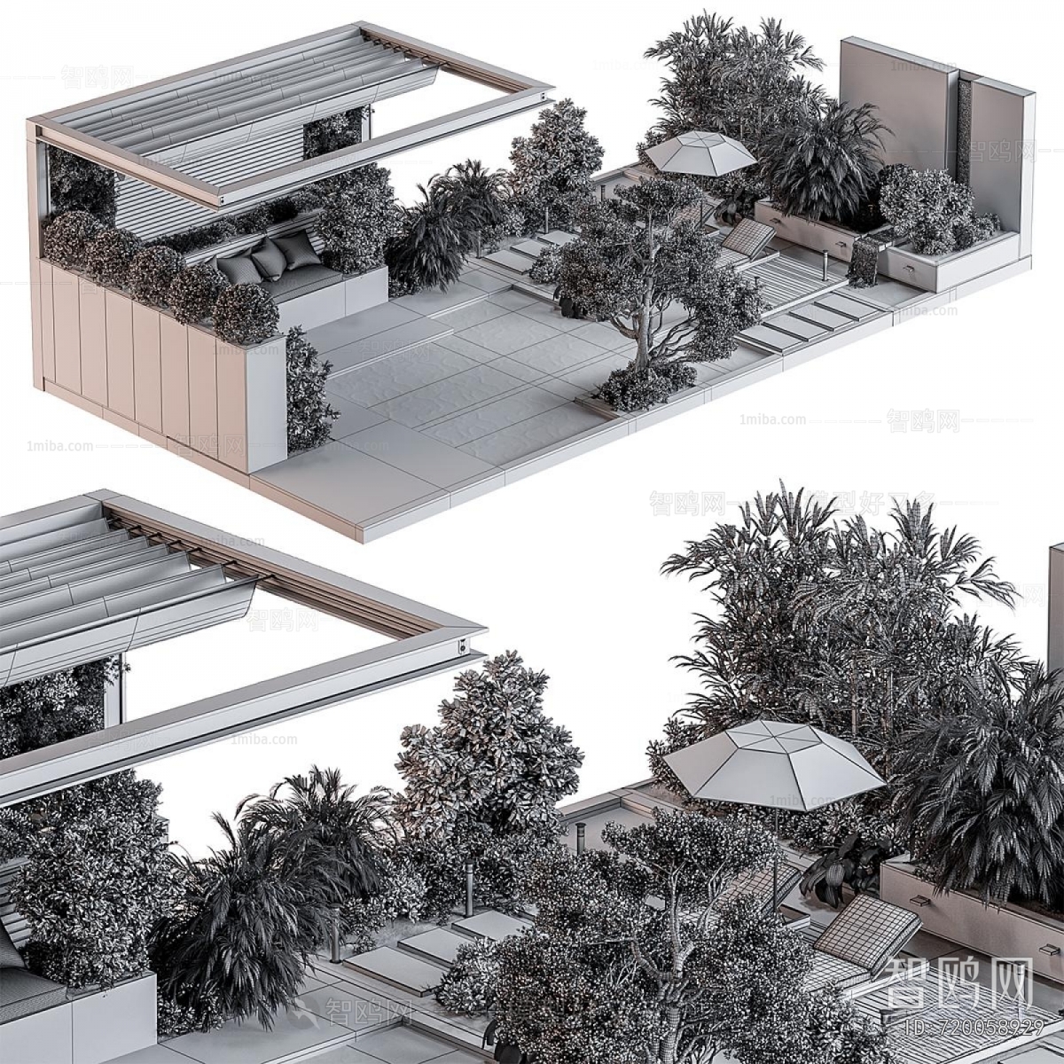 Modern Courtyard/landscape