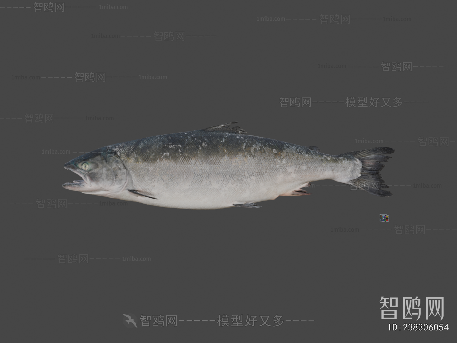 Modern Aquatic Animals