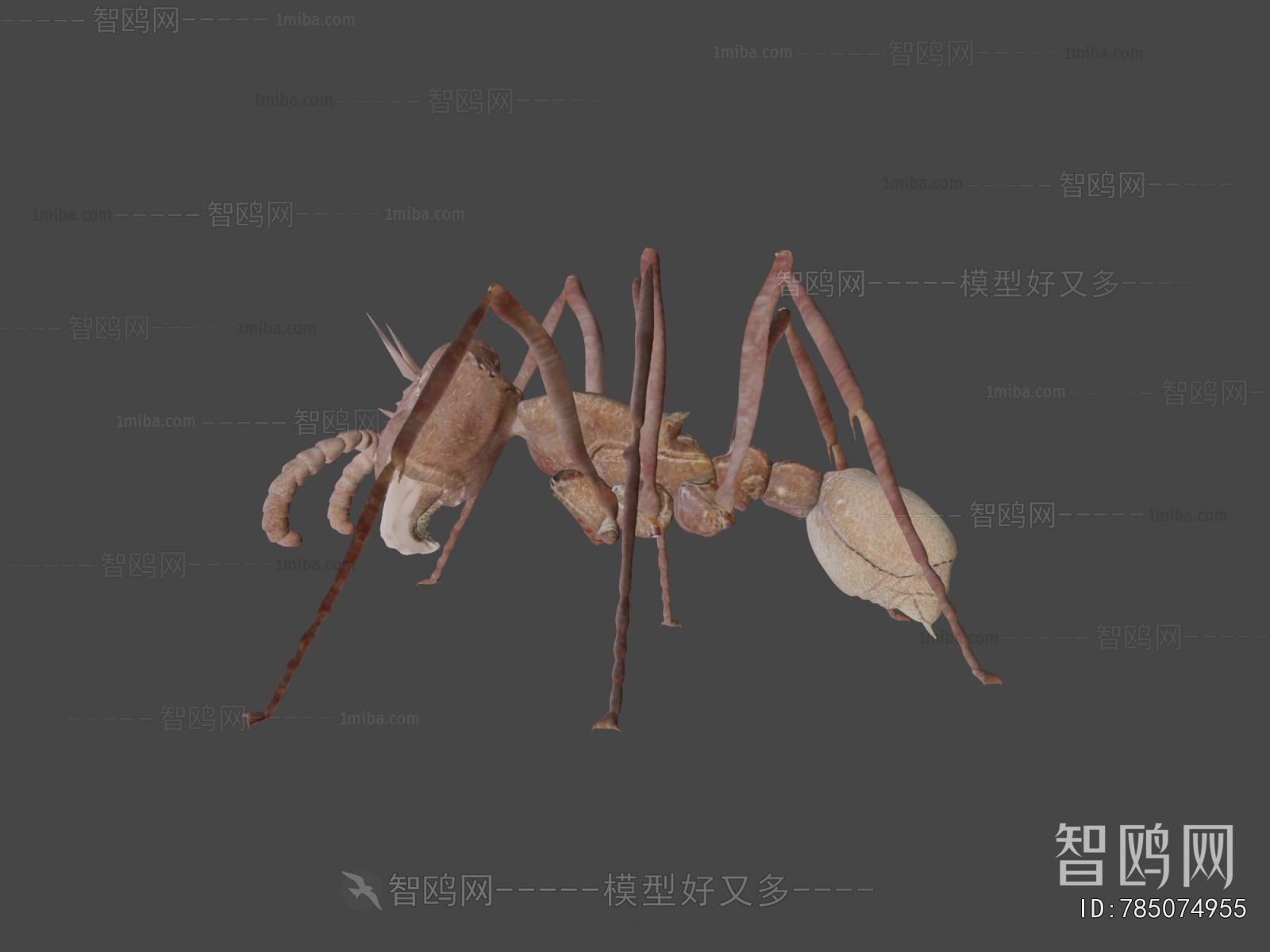 Modern Other Animals