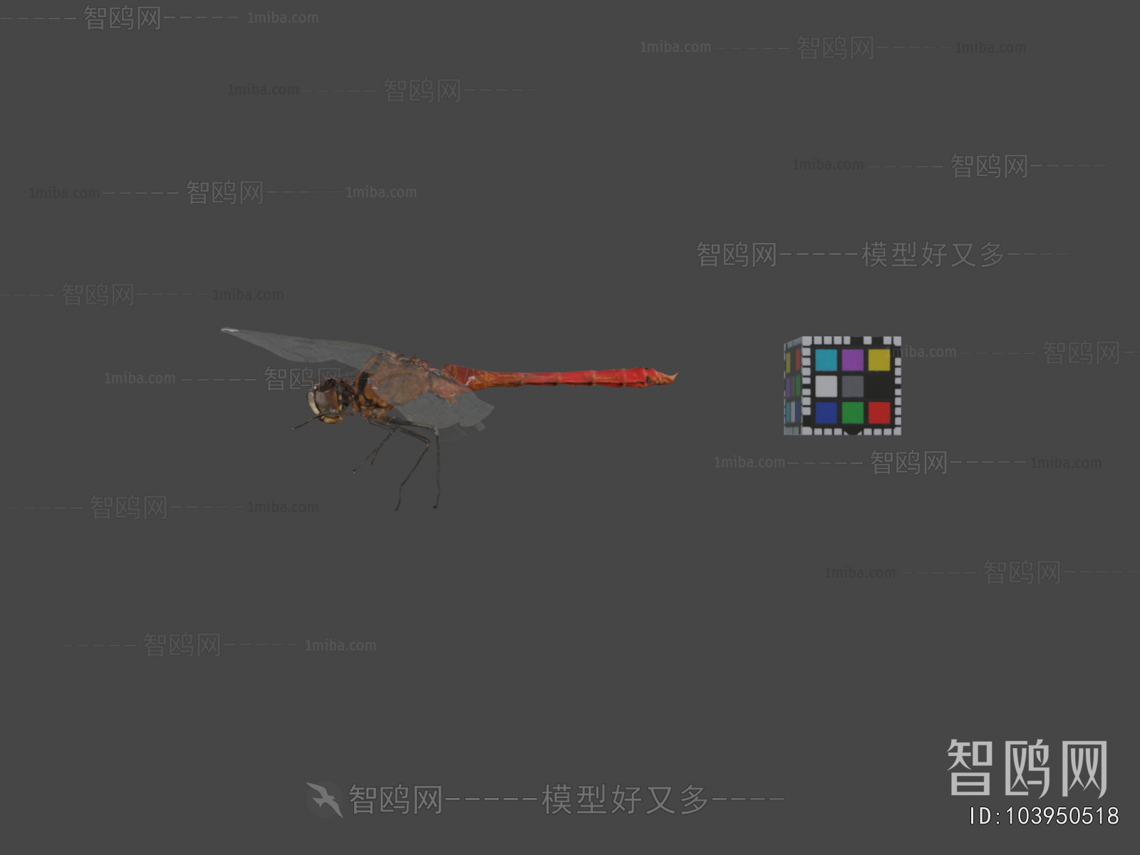 Modern Flying Animals