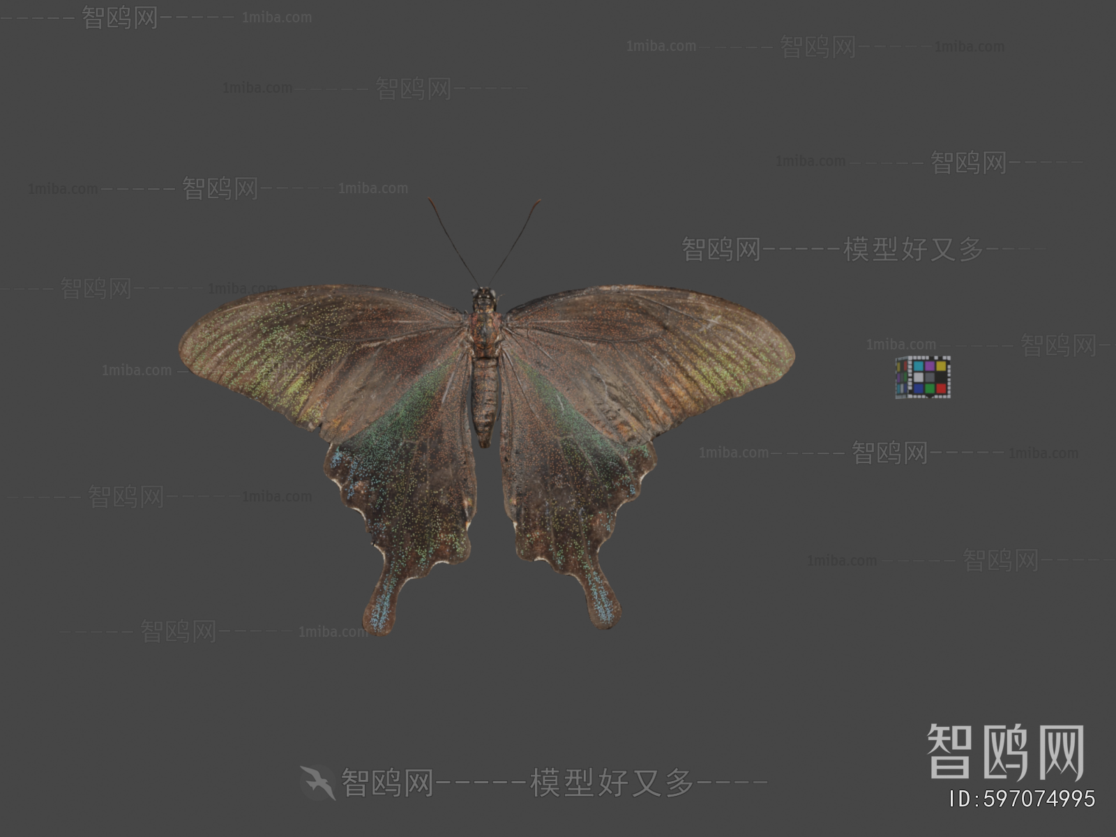 Modern Flying Animals