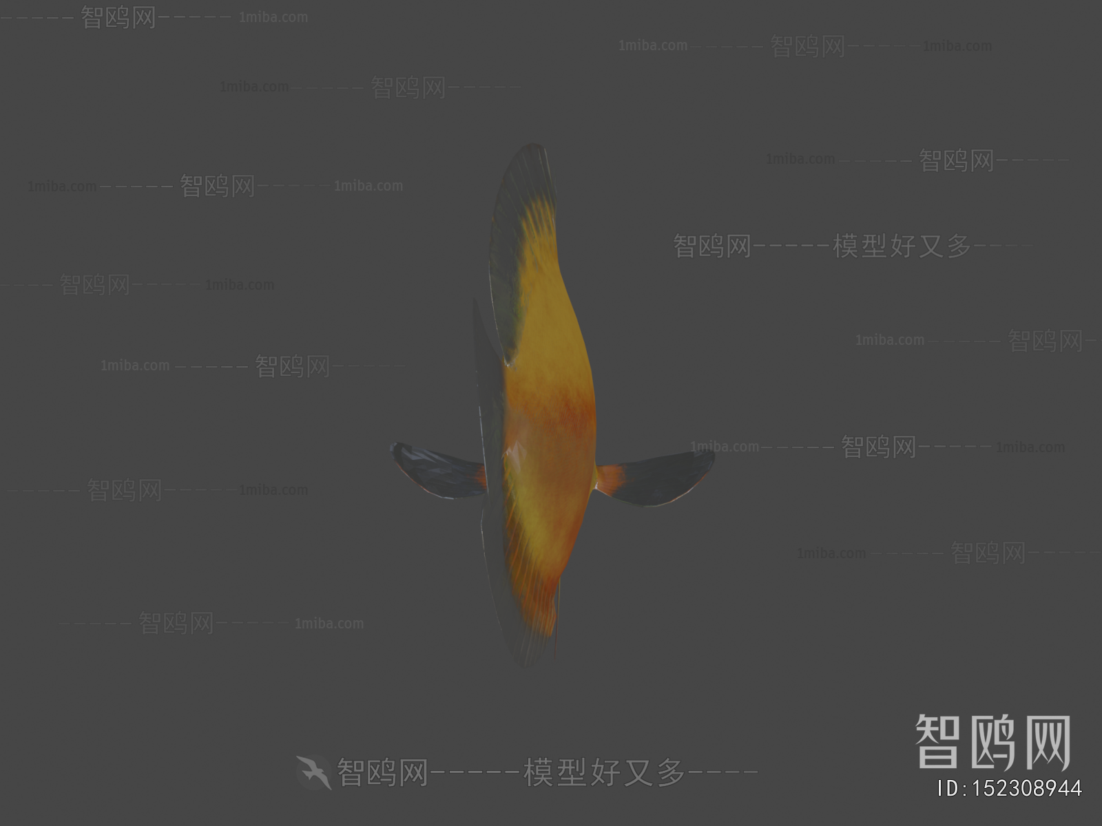 Modern Aquatic Animals