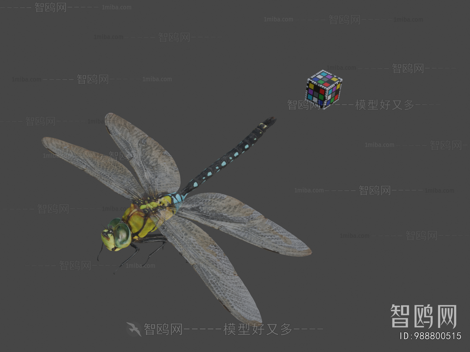 Modern Flying Animals