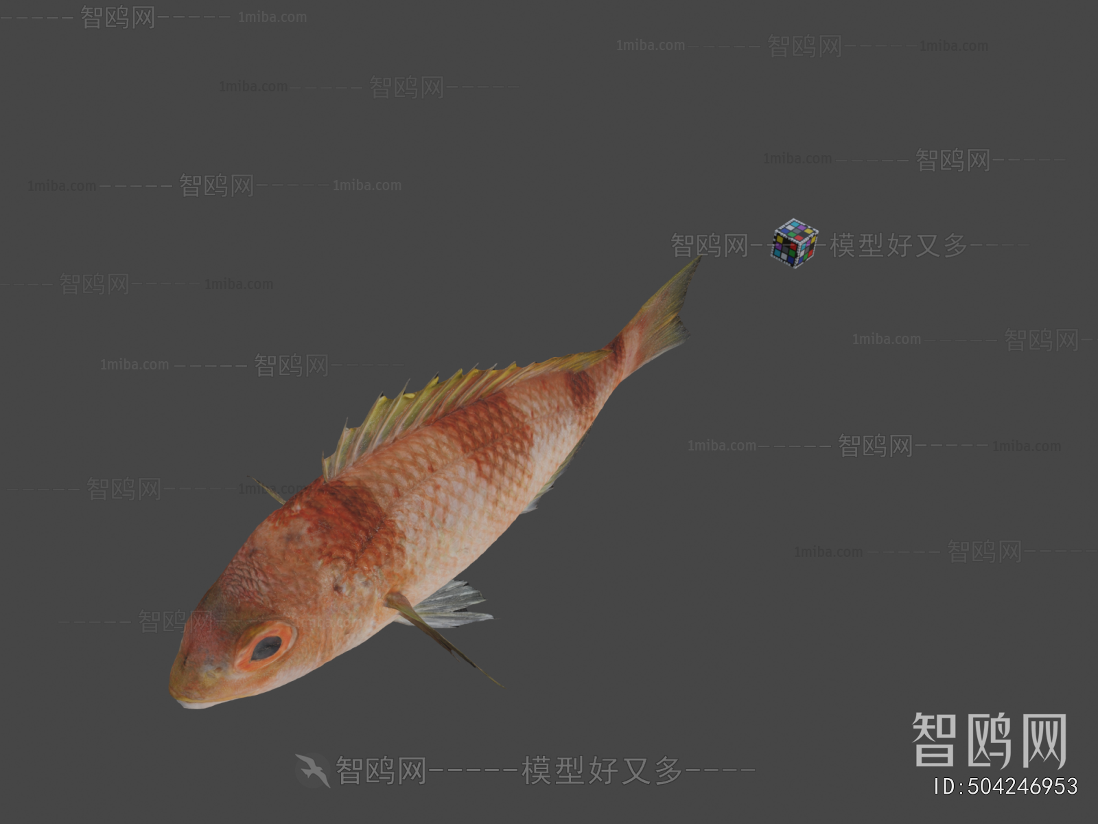 Modern Aquatic Animals