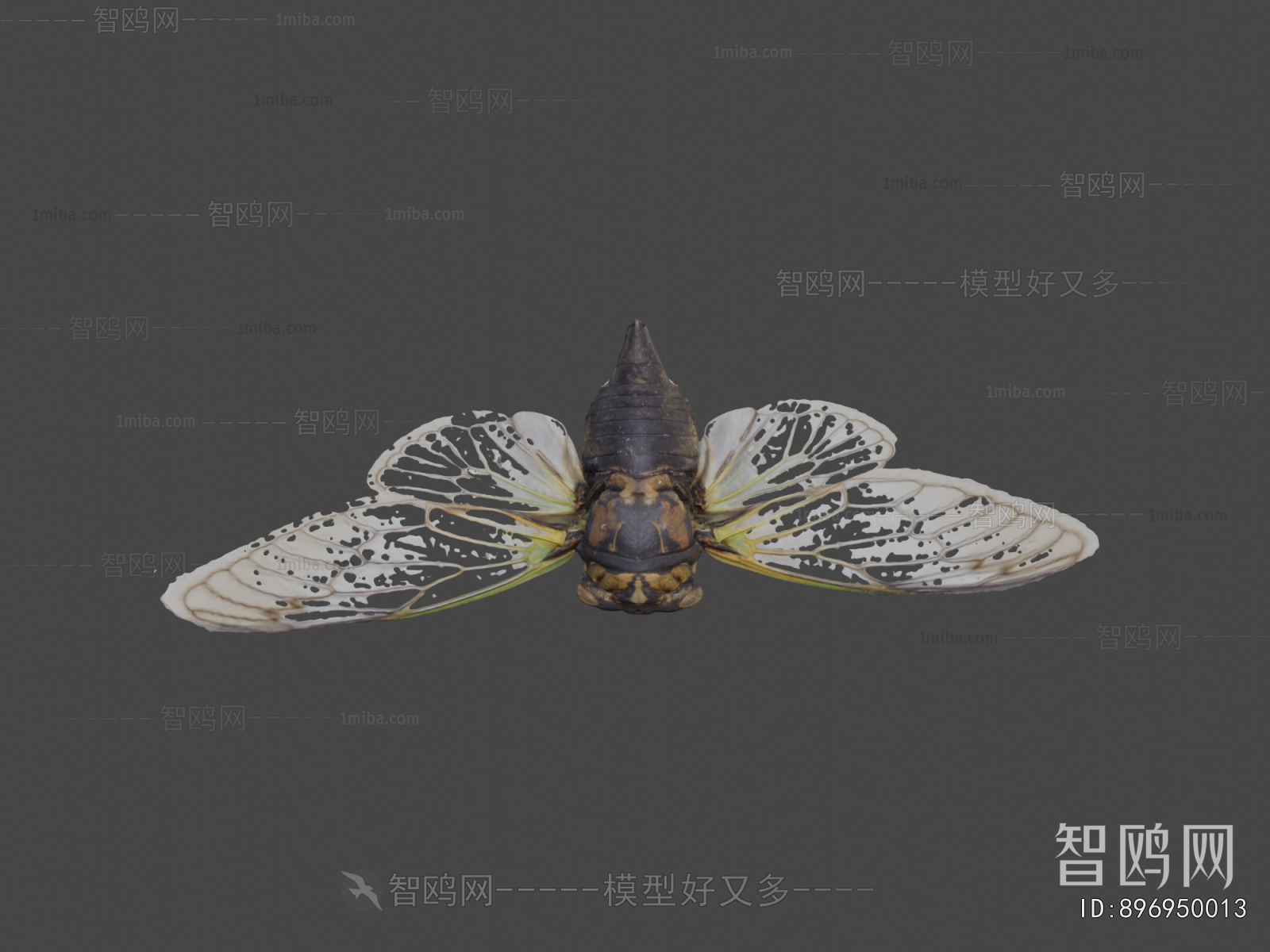 Modern Flying Animals