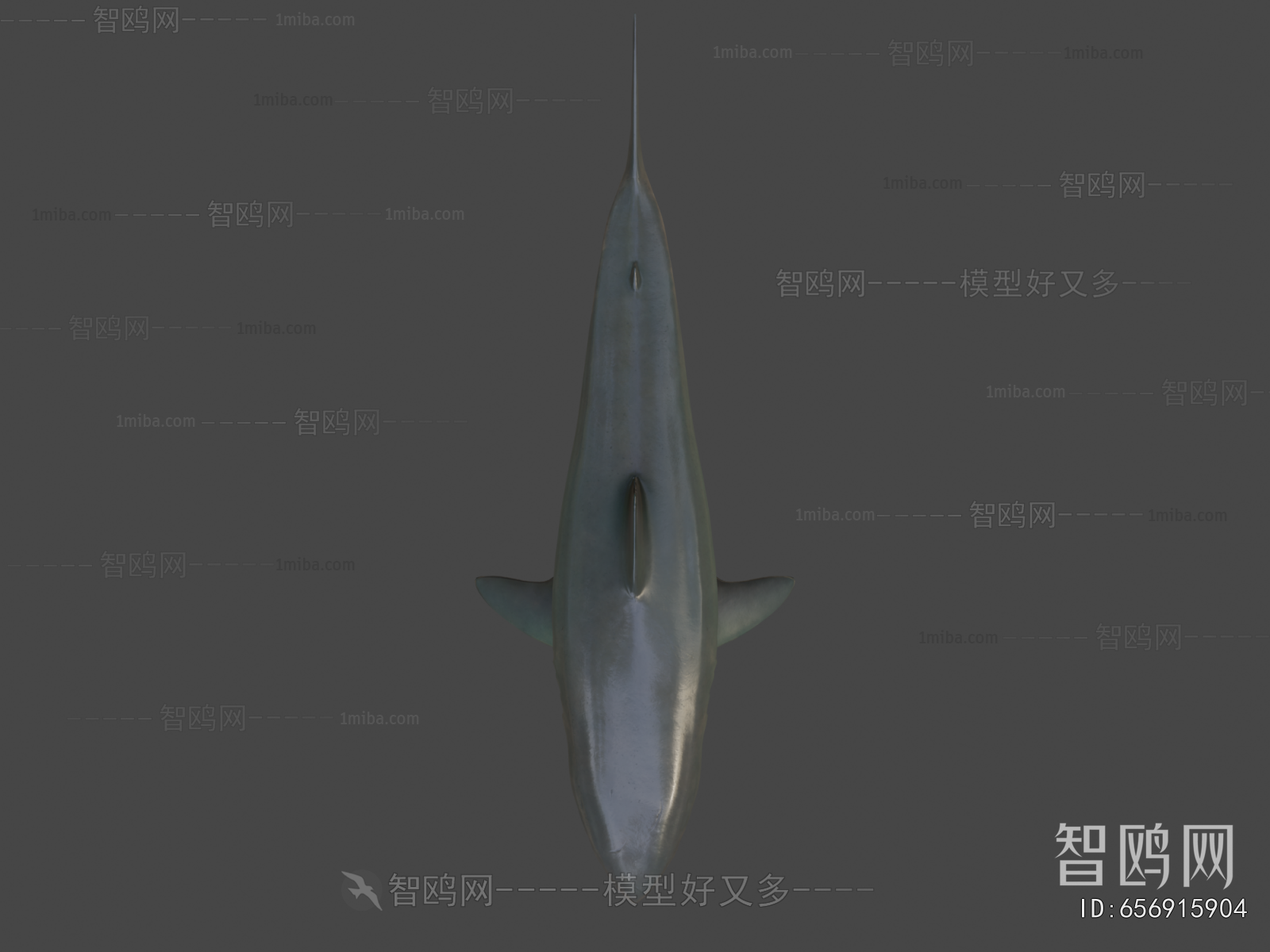 Modern Aquatic Animals