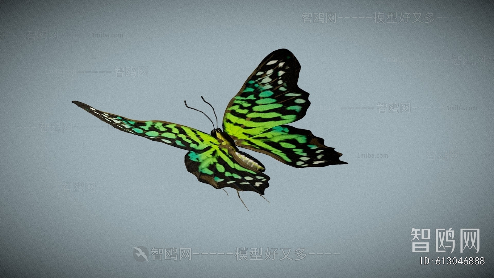 Modern Other Animals