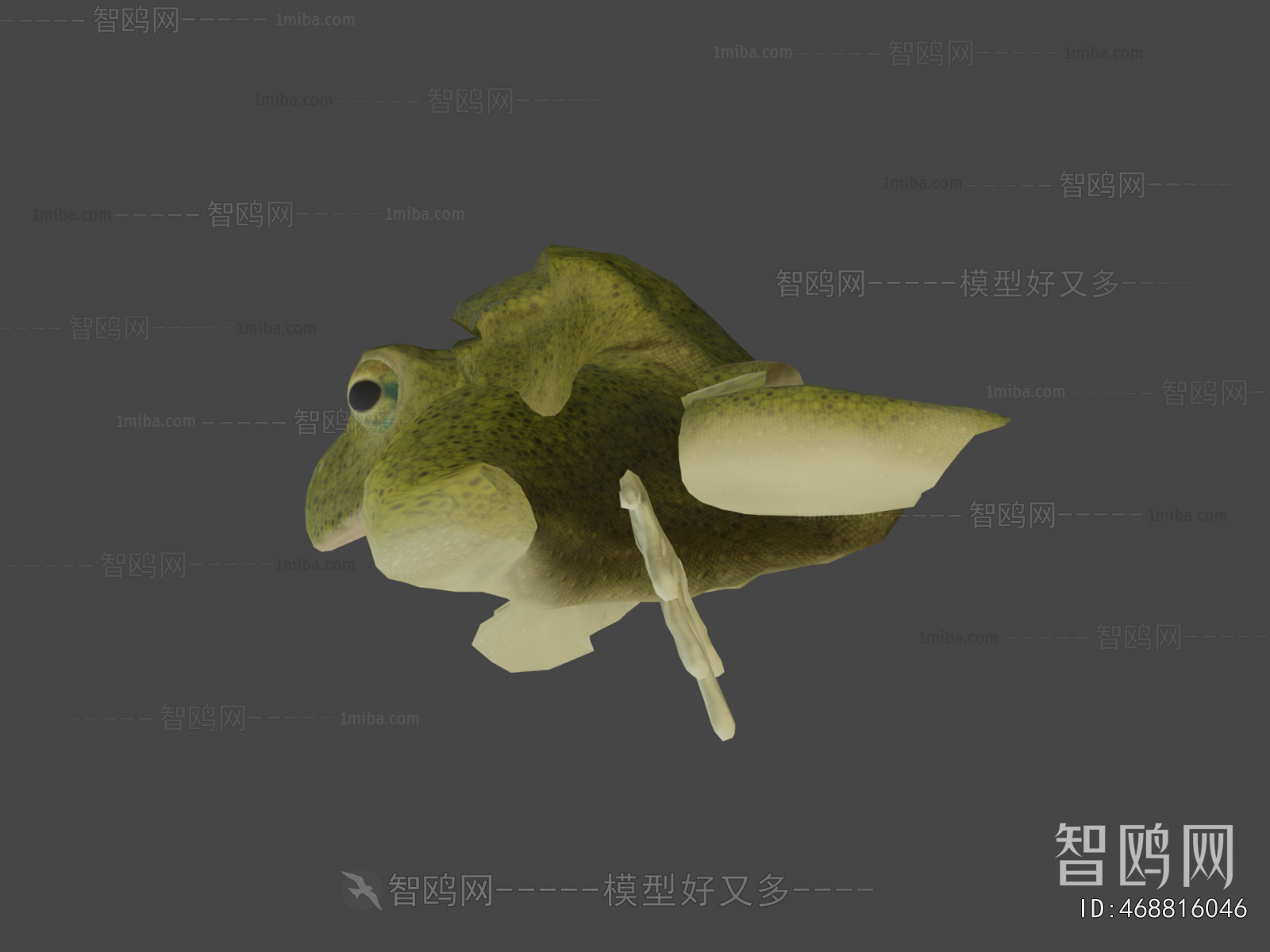 Modern Aquatic Animals