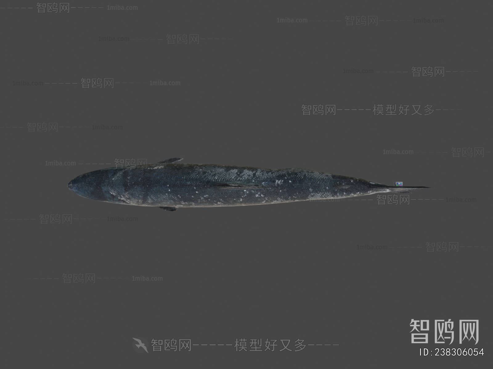 Modern Aquatic Animals