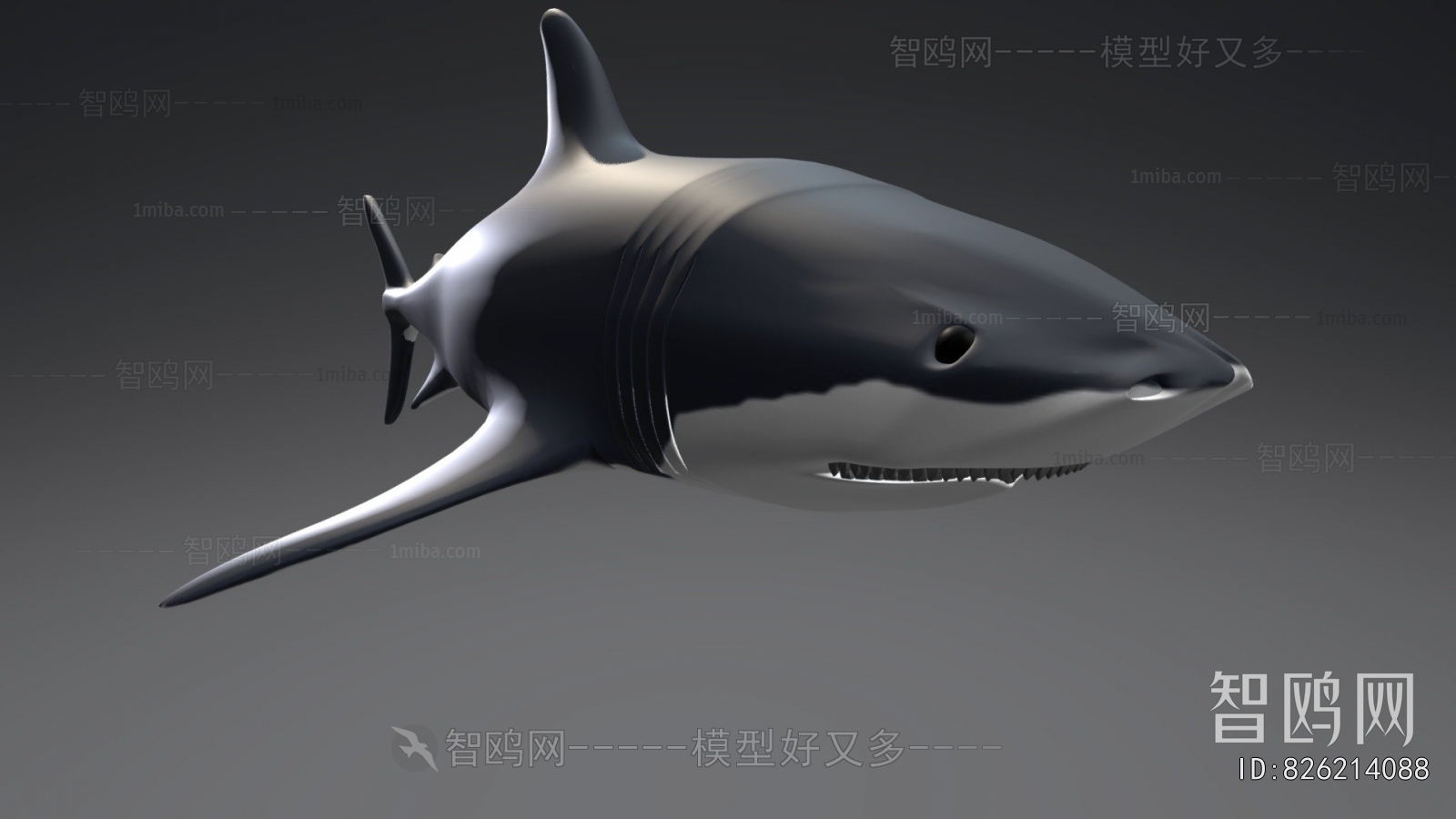 Modern Aquatic Animals