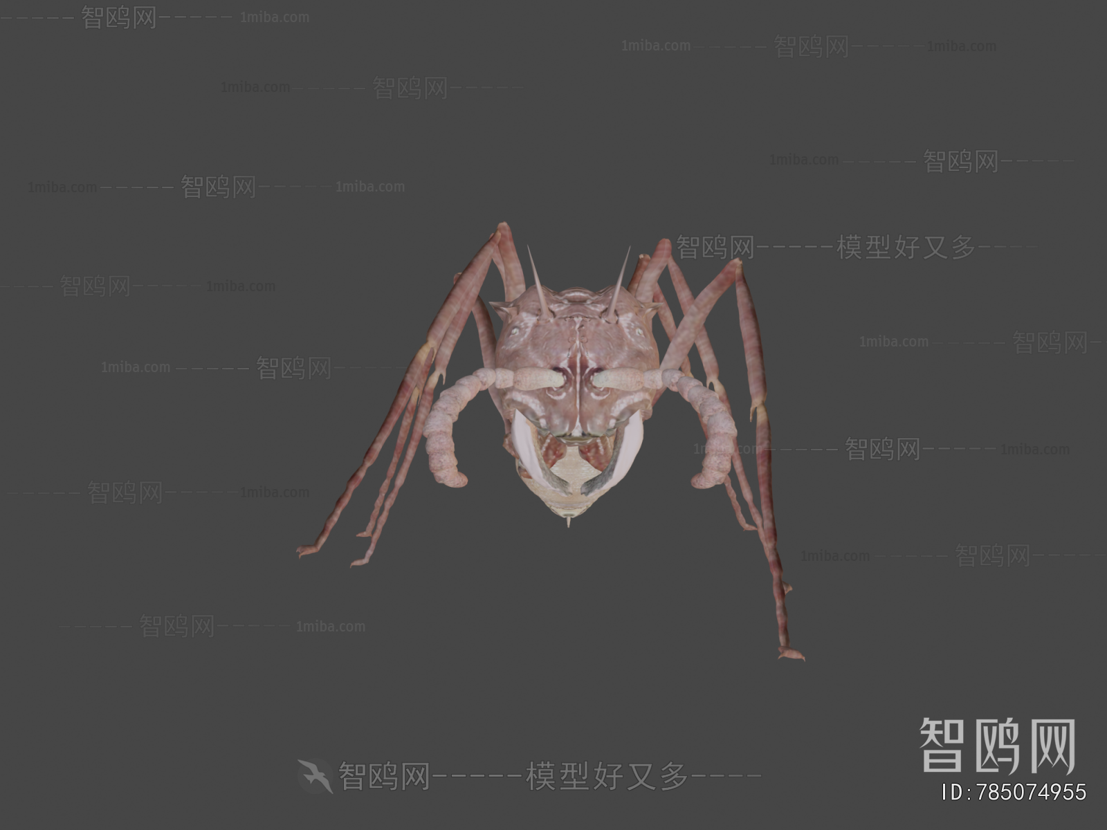 Modern Other Animals