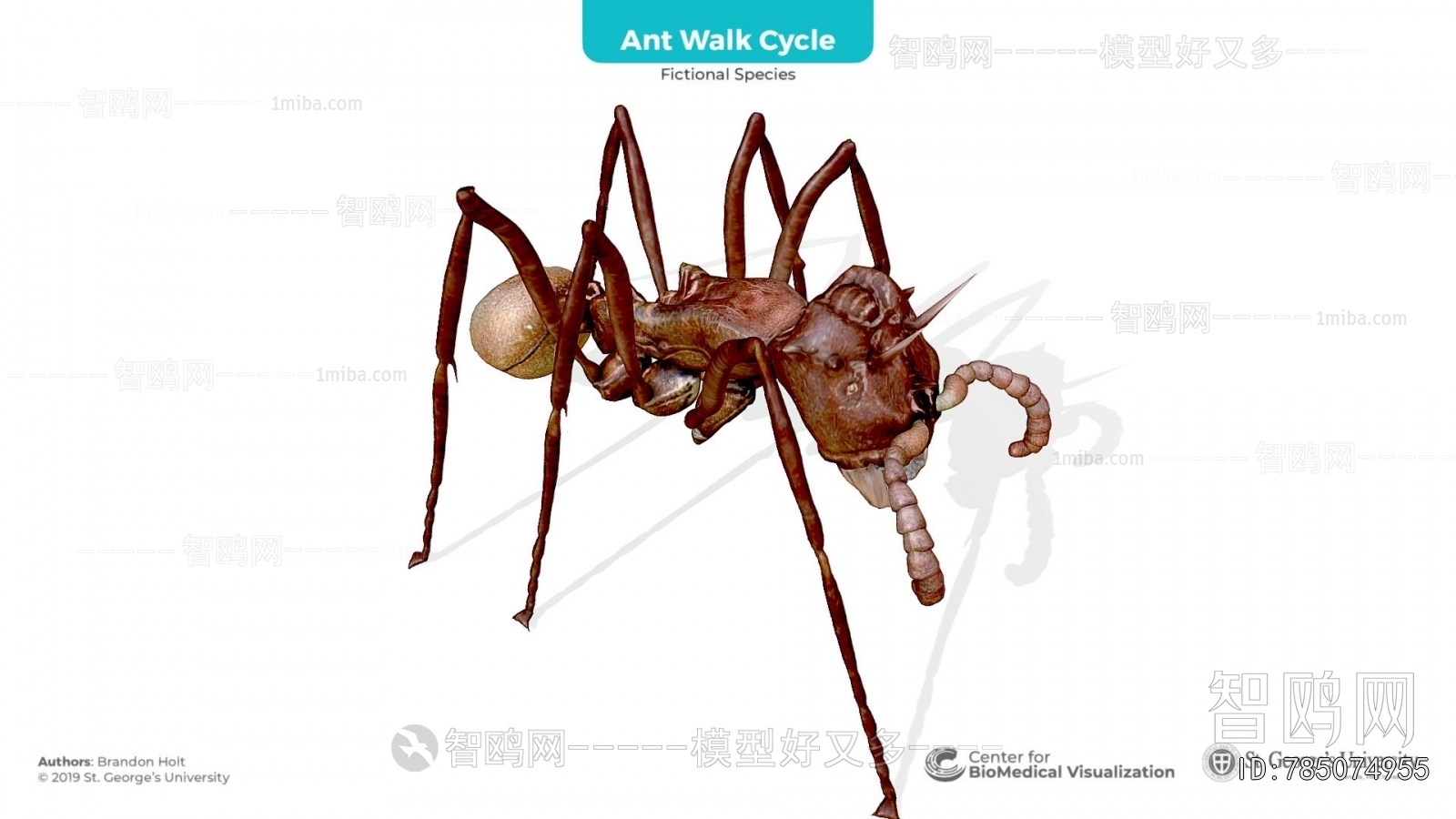 Modern Other Animals