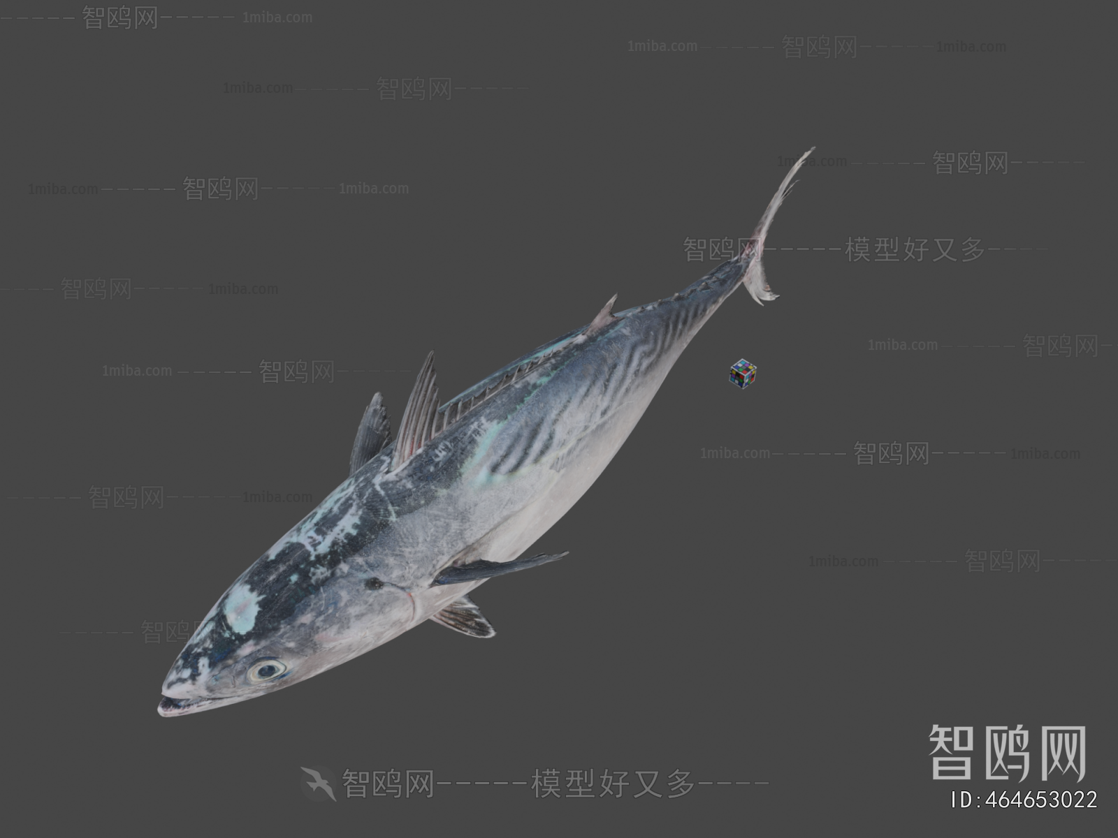 Modern Aquatic Animals