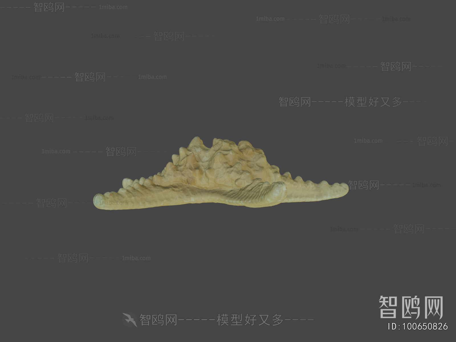 Modern Aquatic Animals