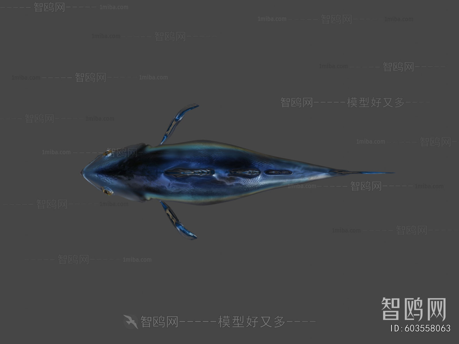 Modern Aquatic Animals