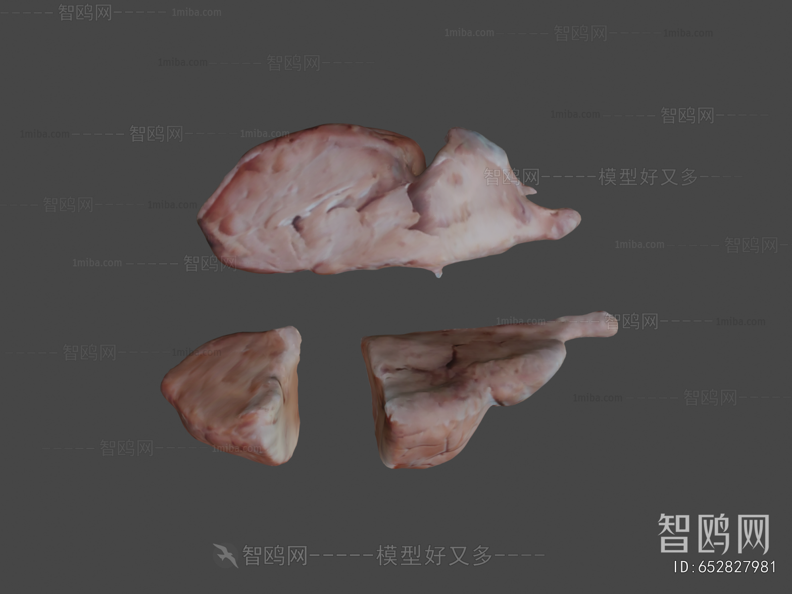 Modern Medical Equipment