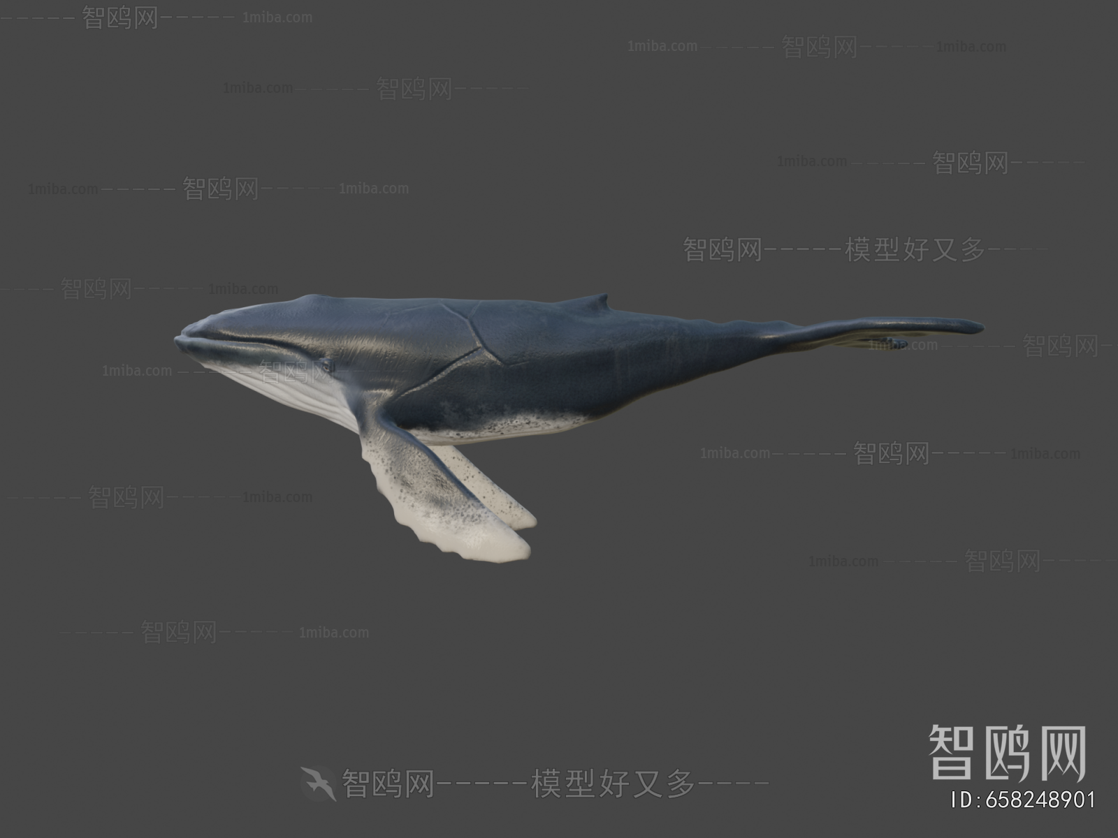 Modern Aquatic Animals