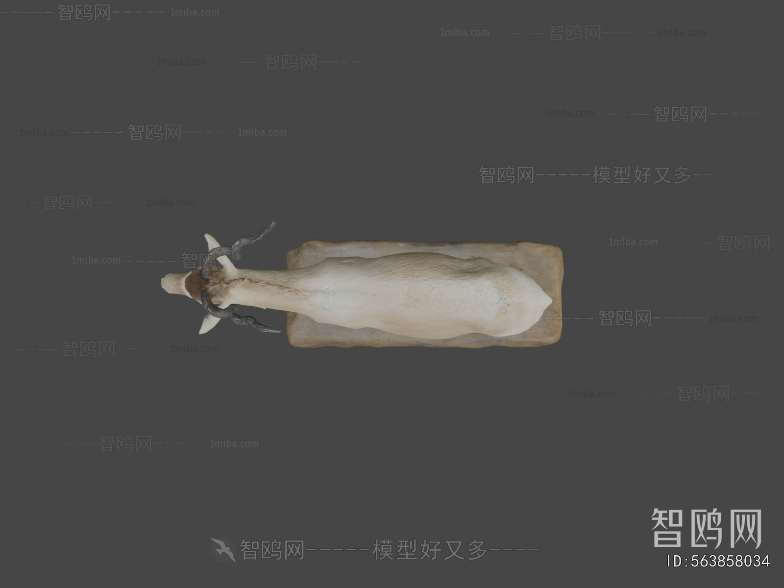 Modern Mammal