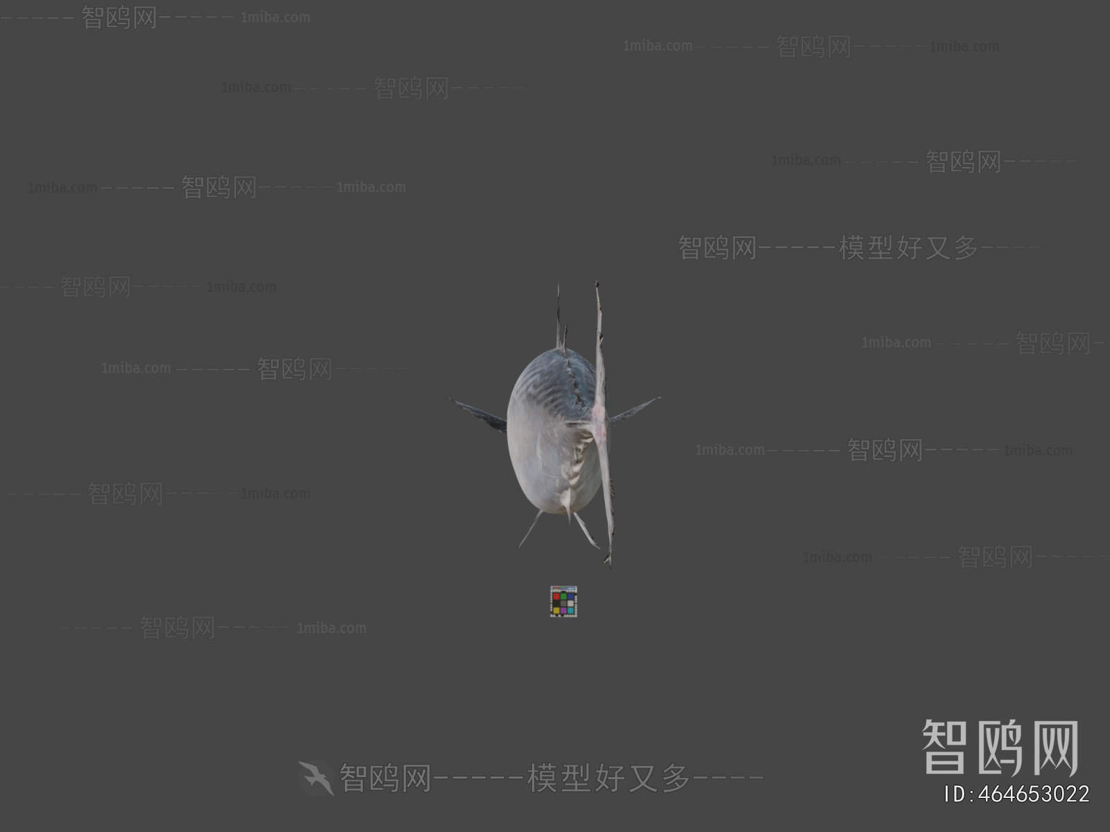 Modern Aquatic Animals