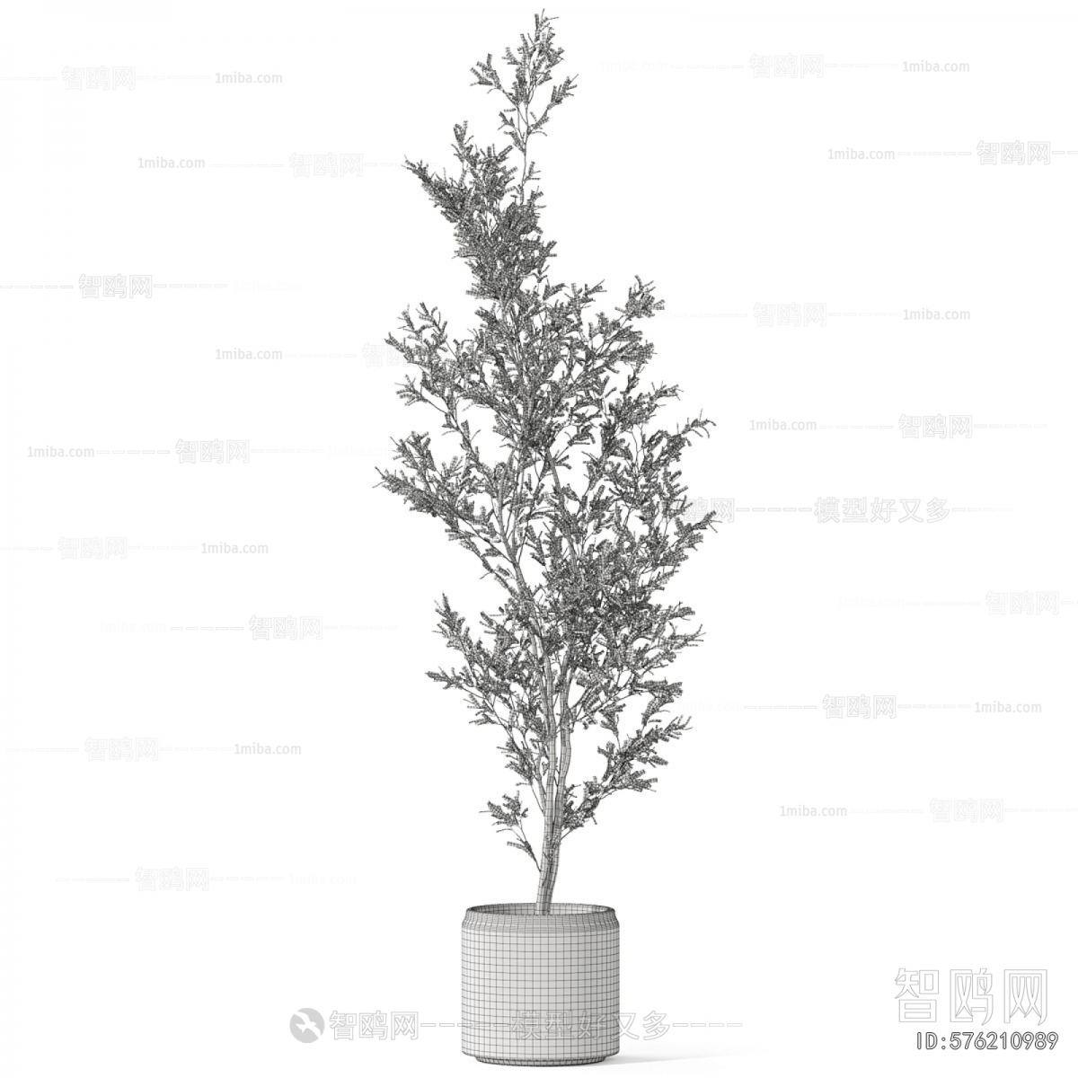 Modern Ground Green Plant Potted Plants