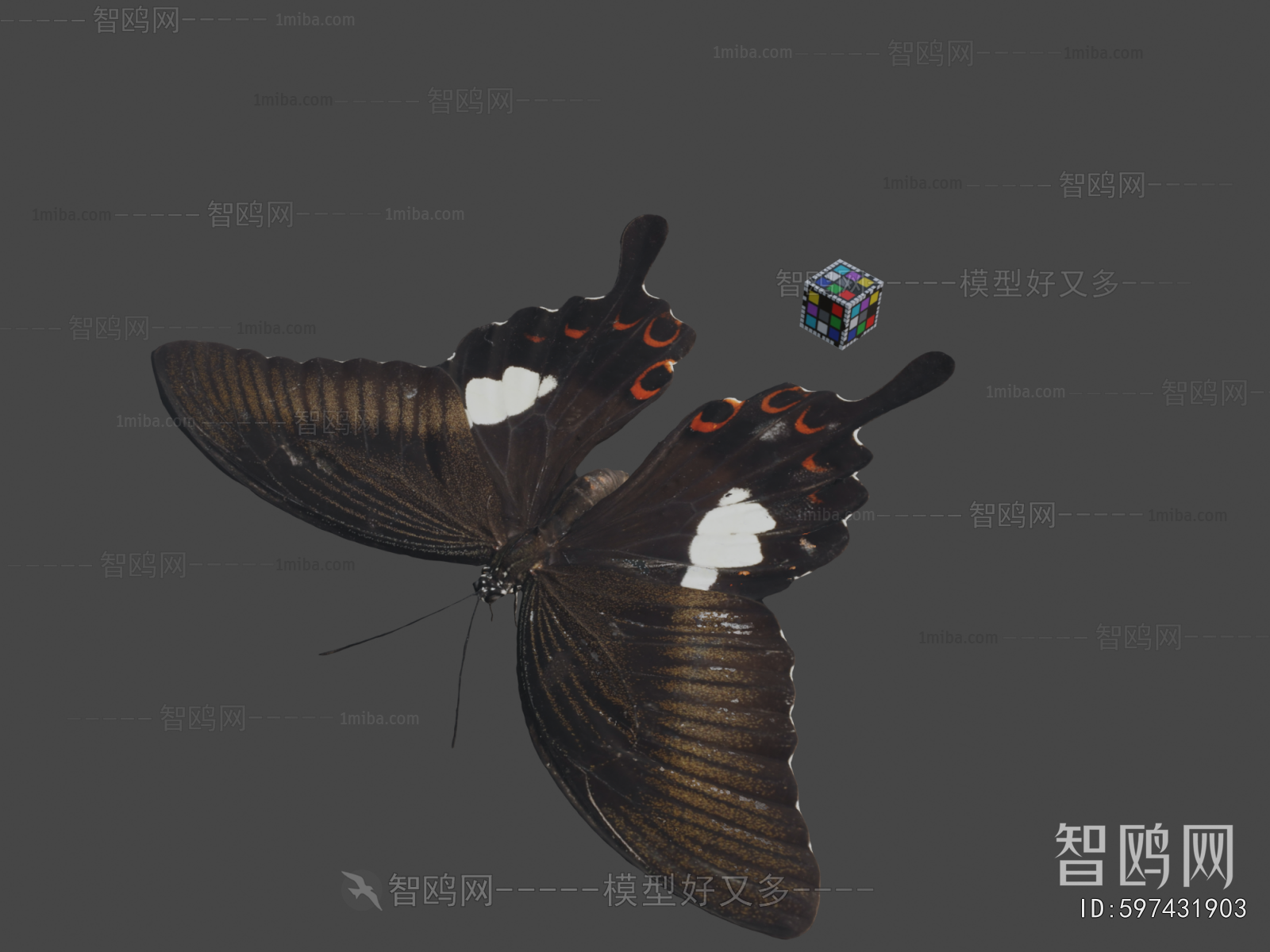 Modern Flying Animals