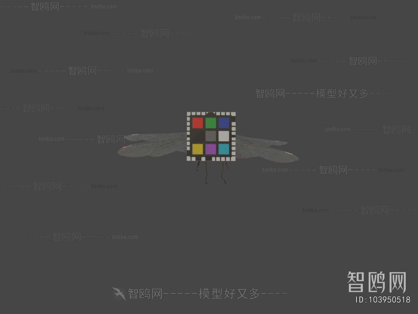 Modern Flying Animals