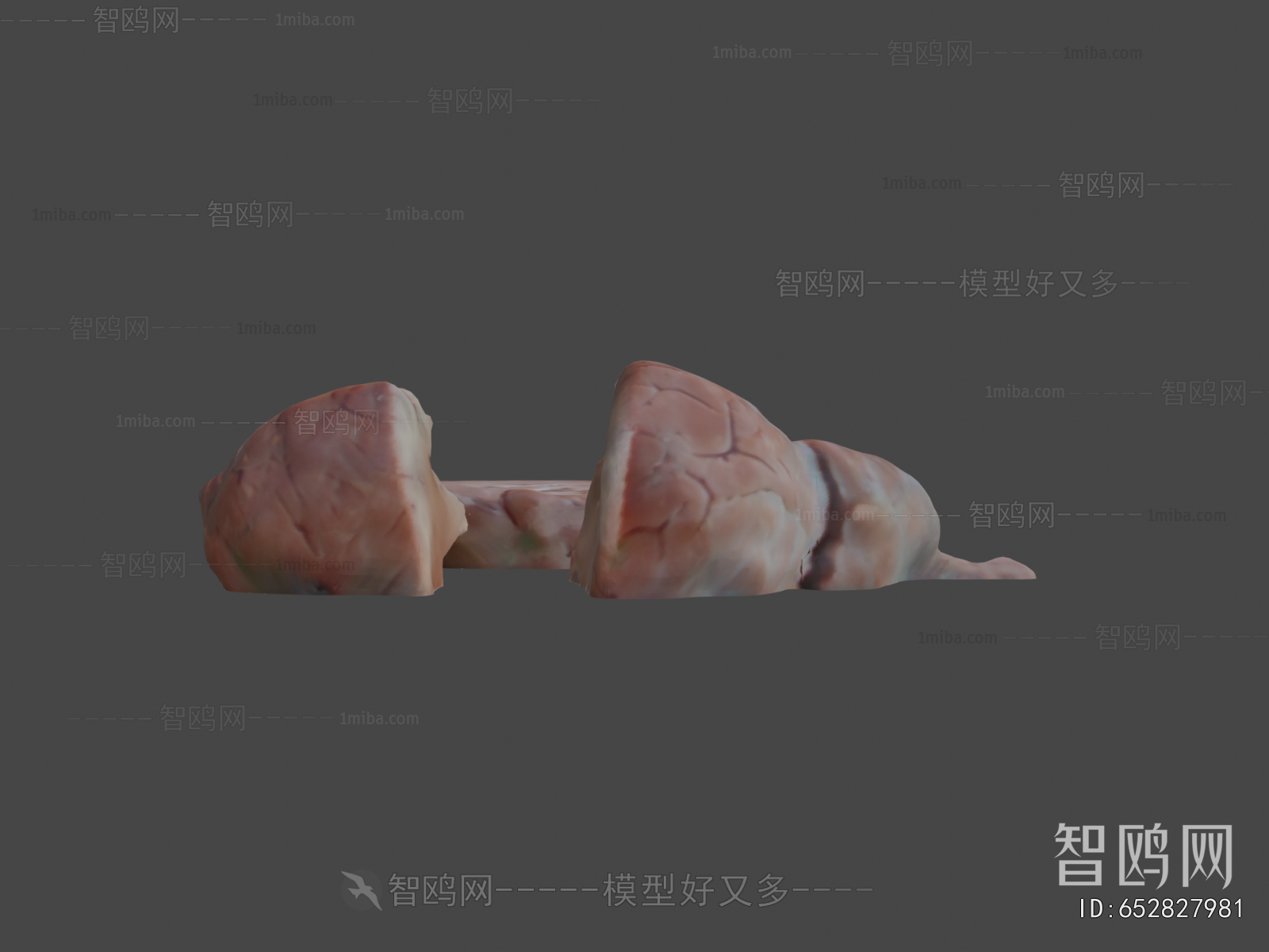 Modern Medical Equipment