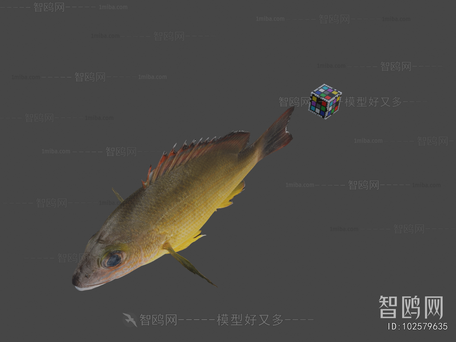 Modern Aquatic Animals