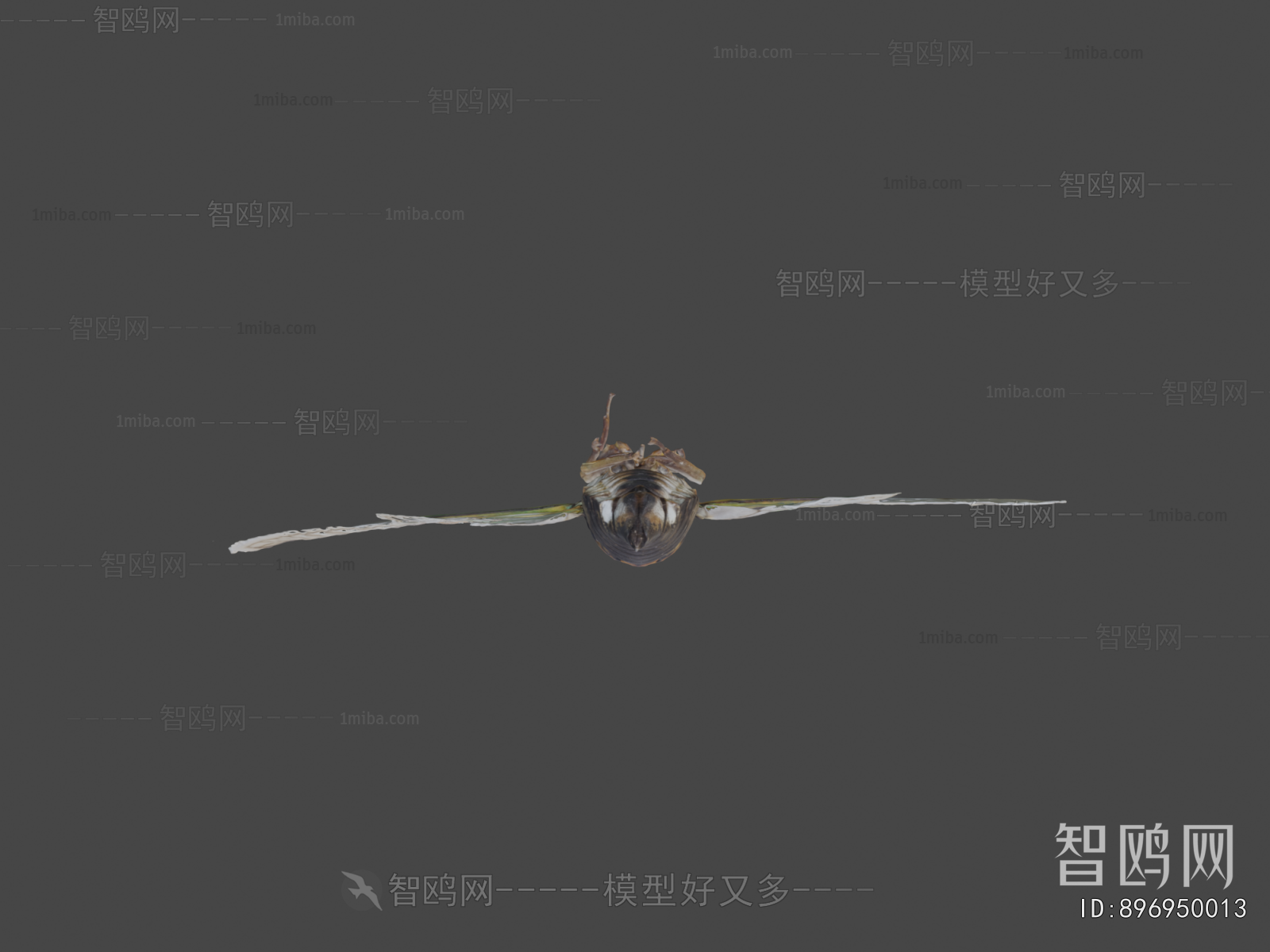 Modern Flying Animals