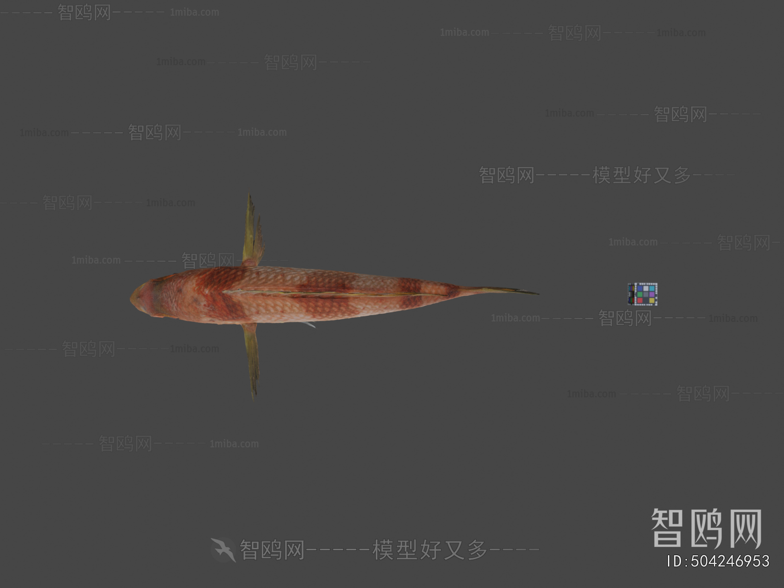 Modern Aquatic Animals