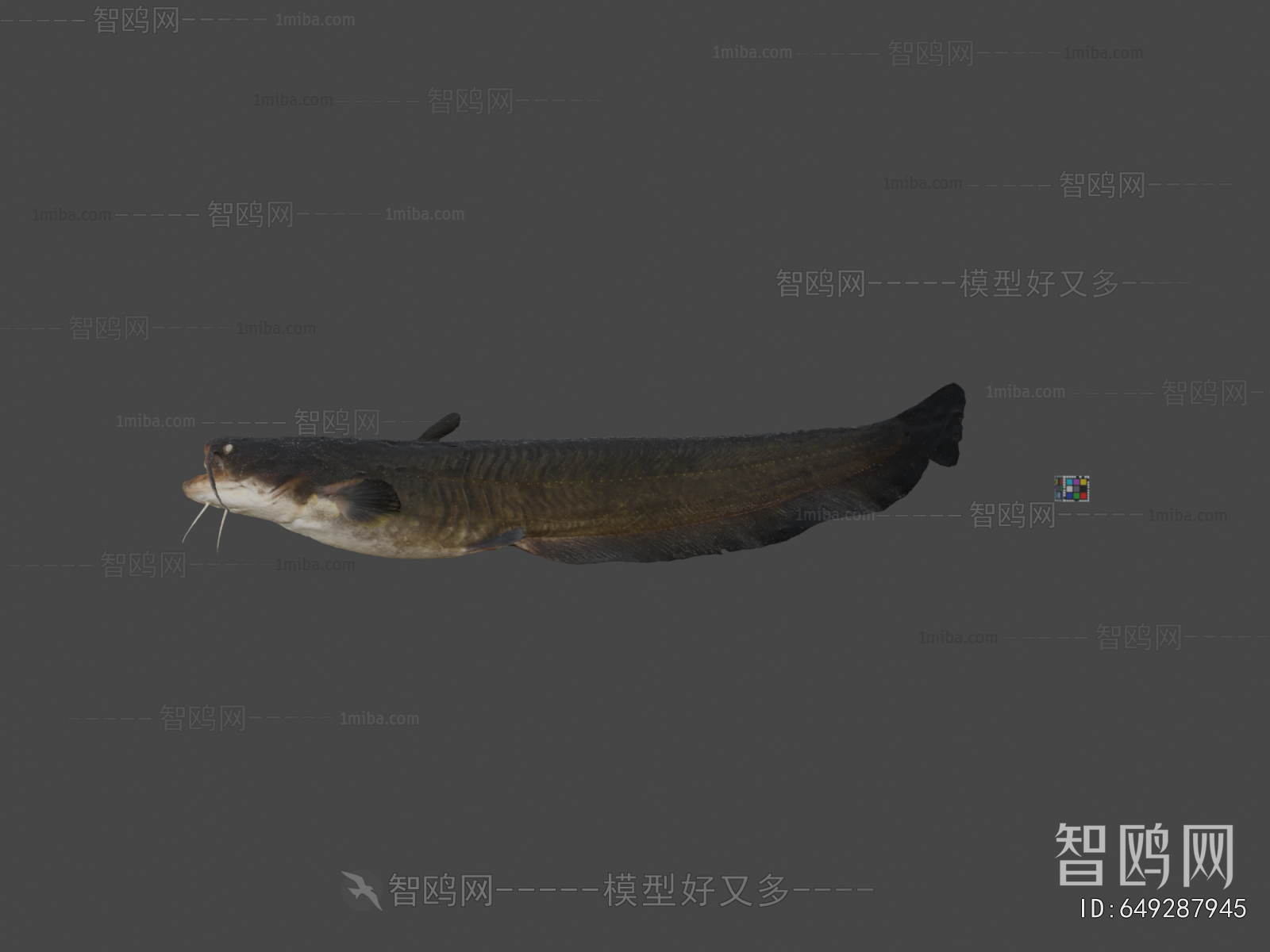 Modern Aquatic Animals