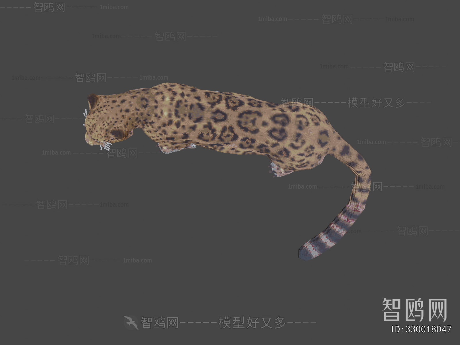 Modern Mammal