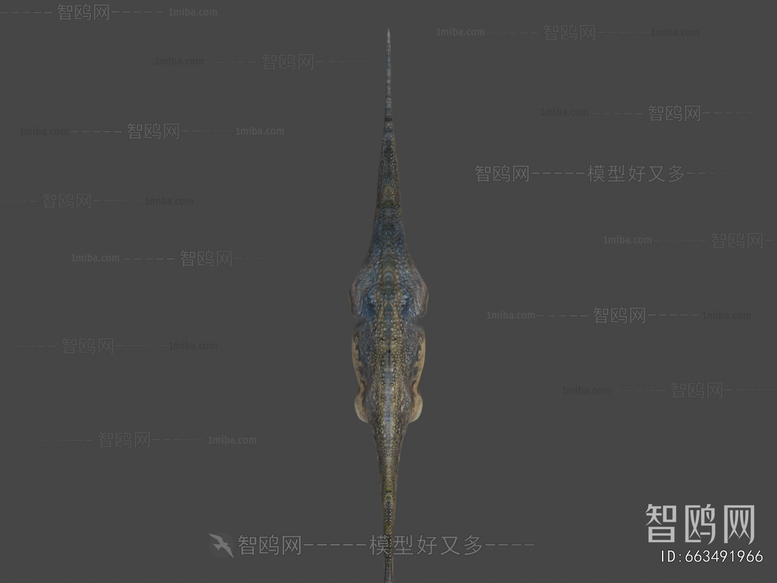 Modern Other Animals