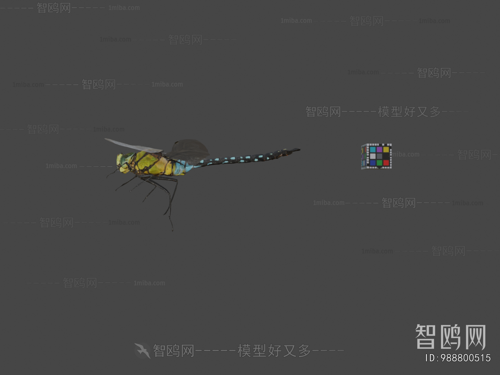 Modern Flying Animals
