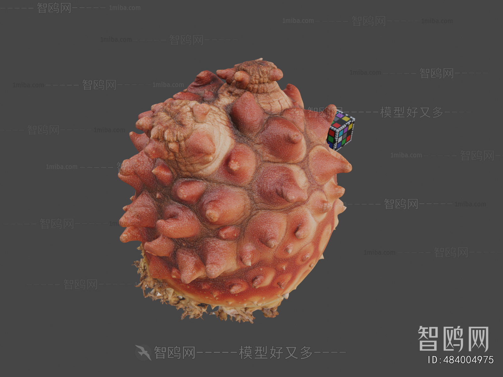 Modern Aquatic Animals