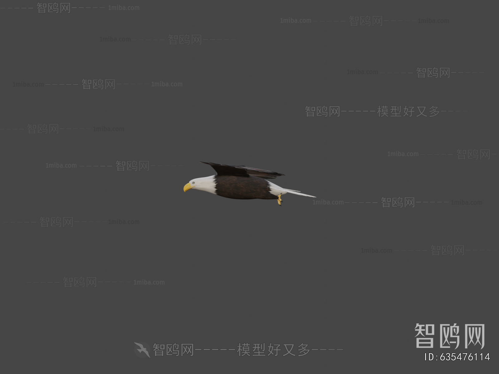 Modern Flying Animals