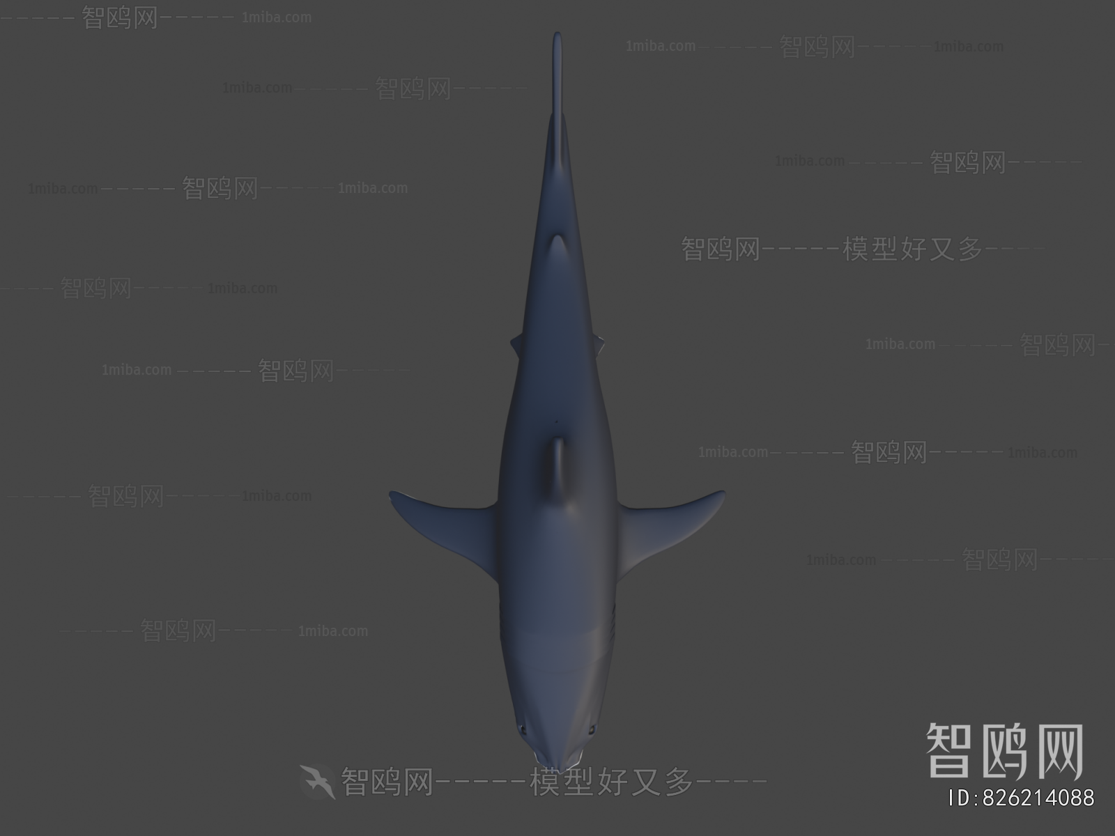 Modern Aquatic Animals