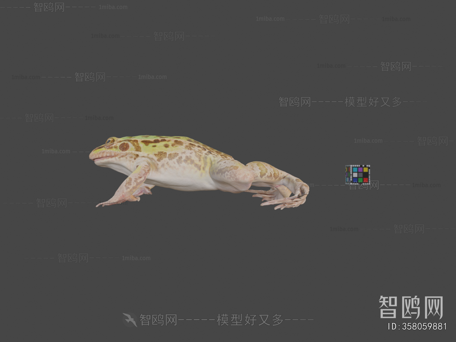 Modern Aquatic Animals