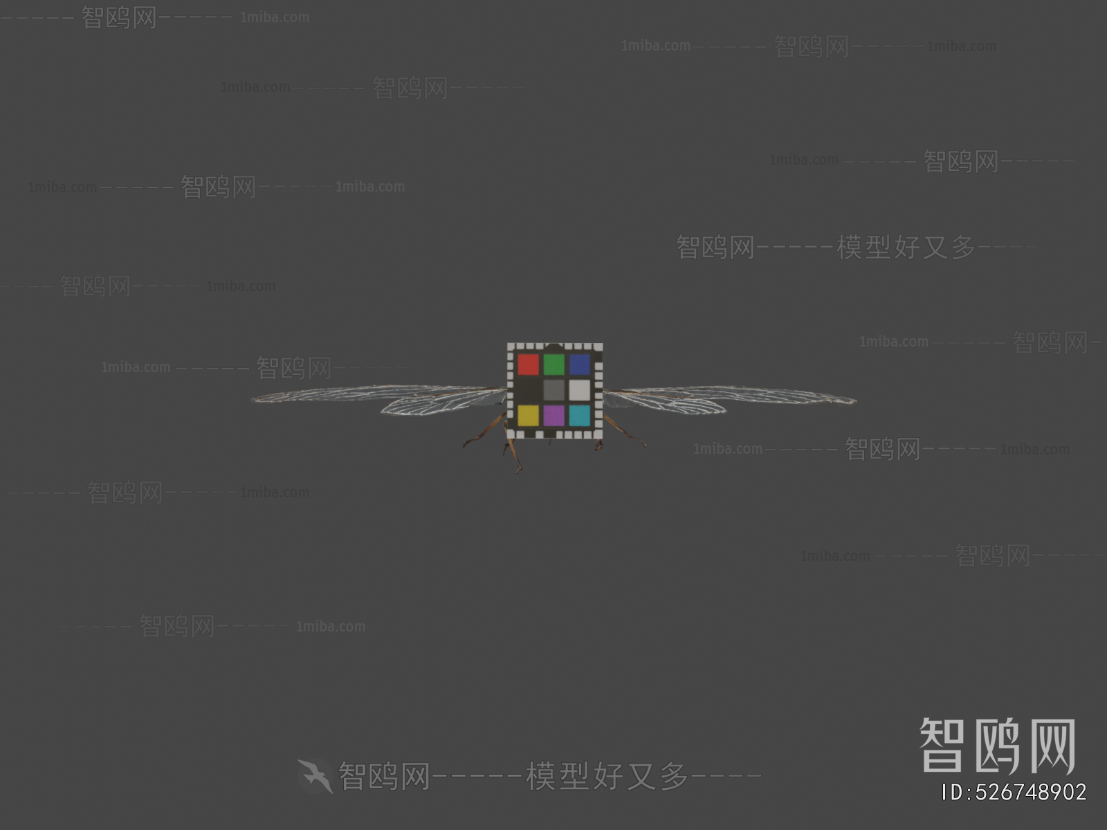 Modern Flying Animals